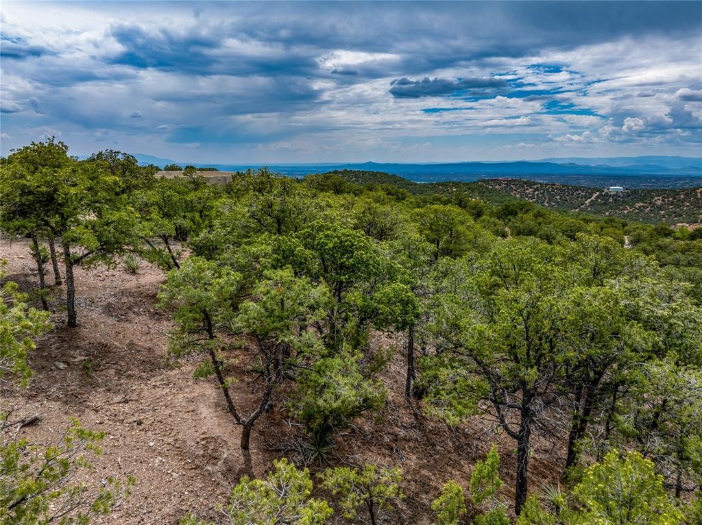 2505 Camino Sarita