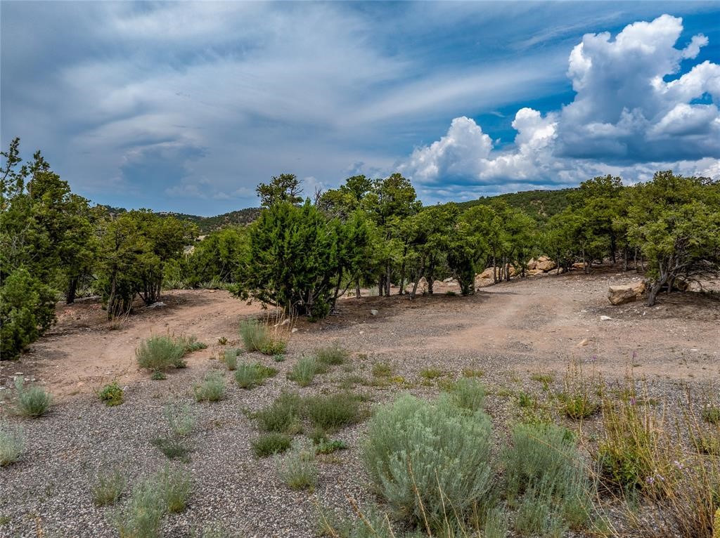 2505 Camino Sarita