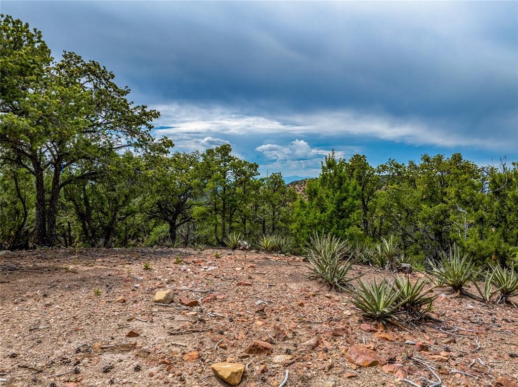2505 Camino Sarita