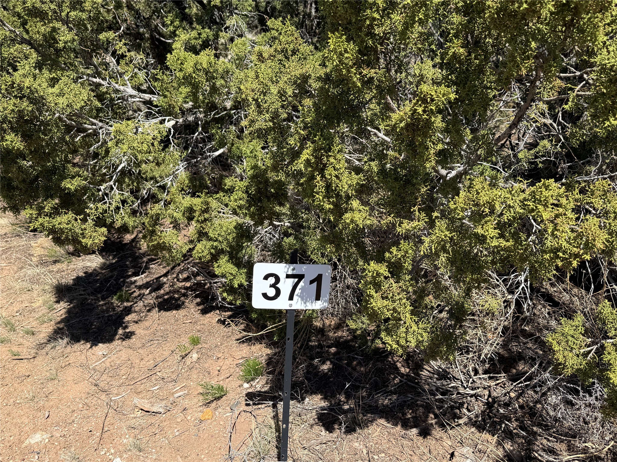 147 Avenida Frijoles