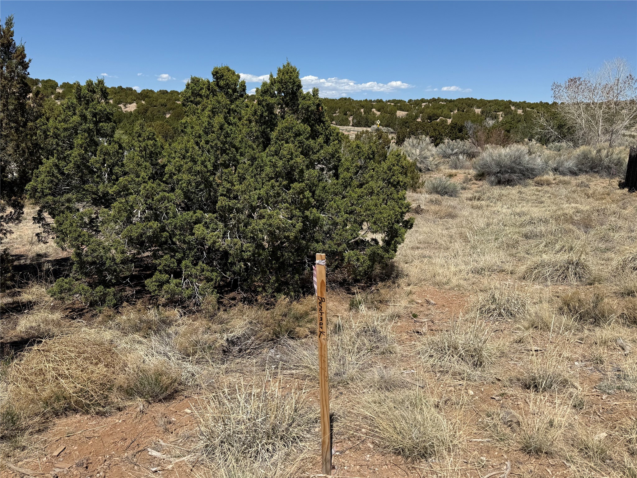 147 Avenida Frijoles