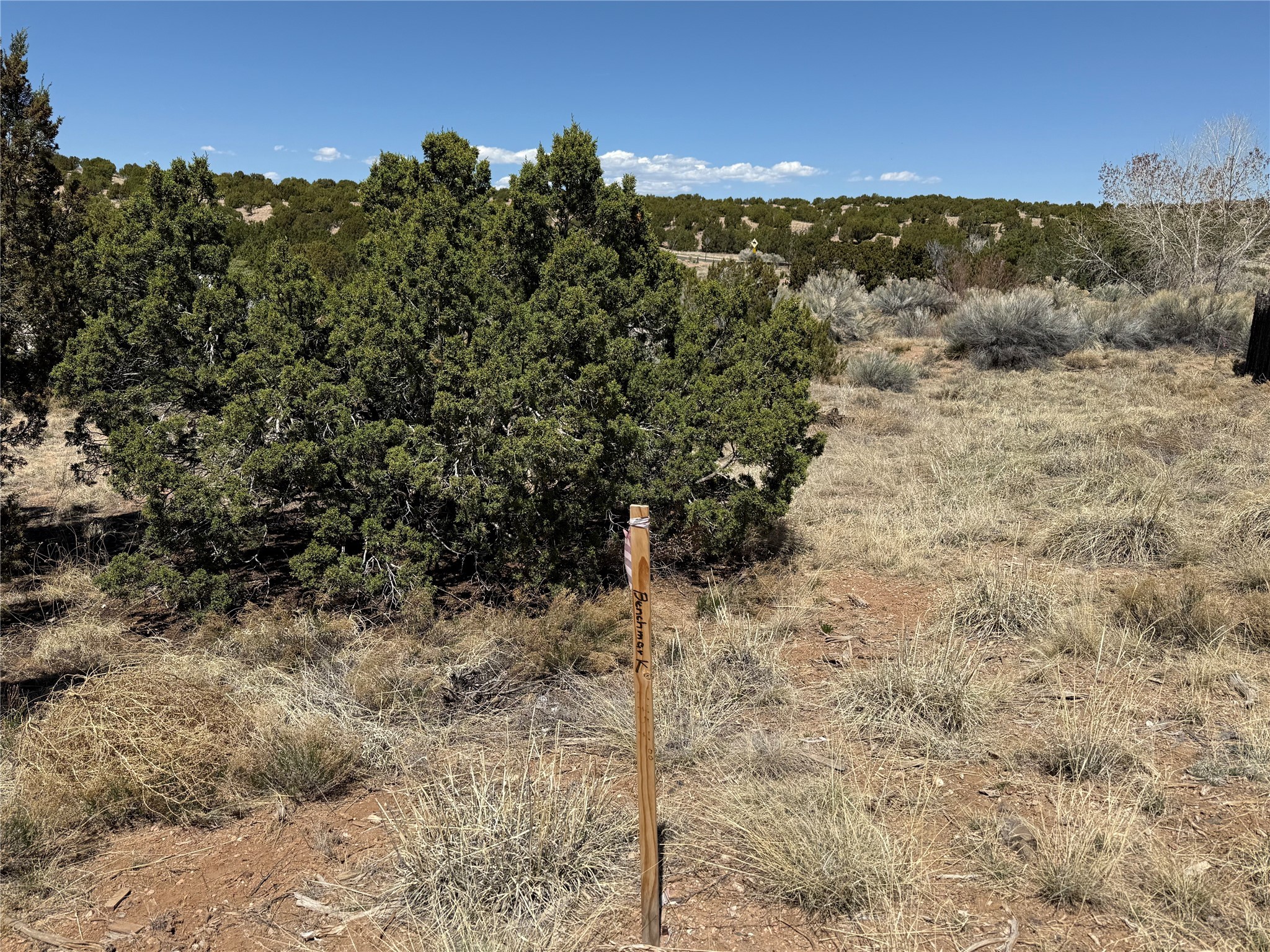 147 Avenida Frijoles