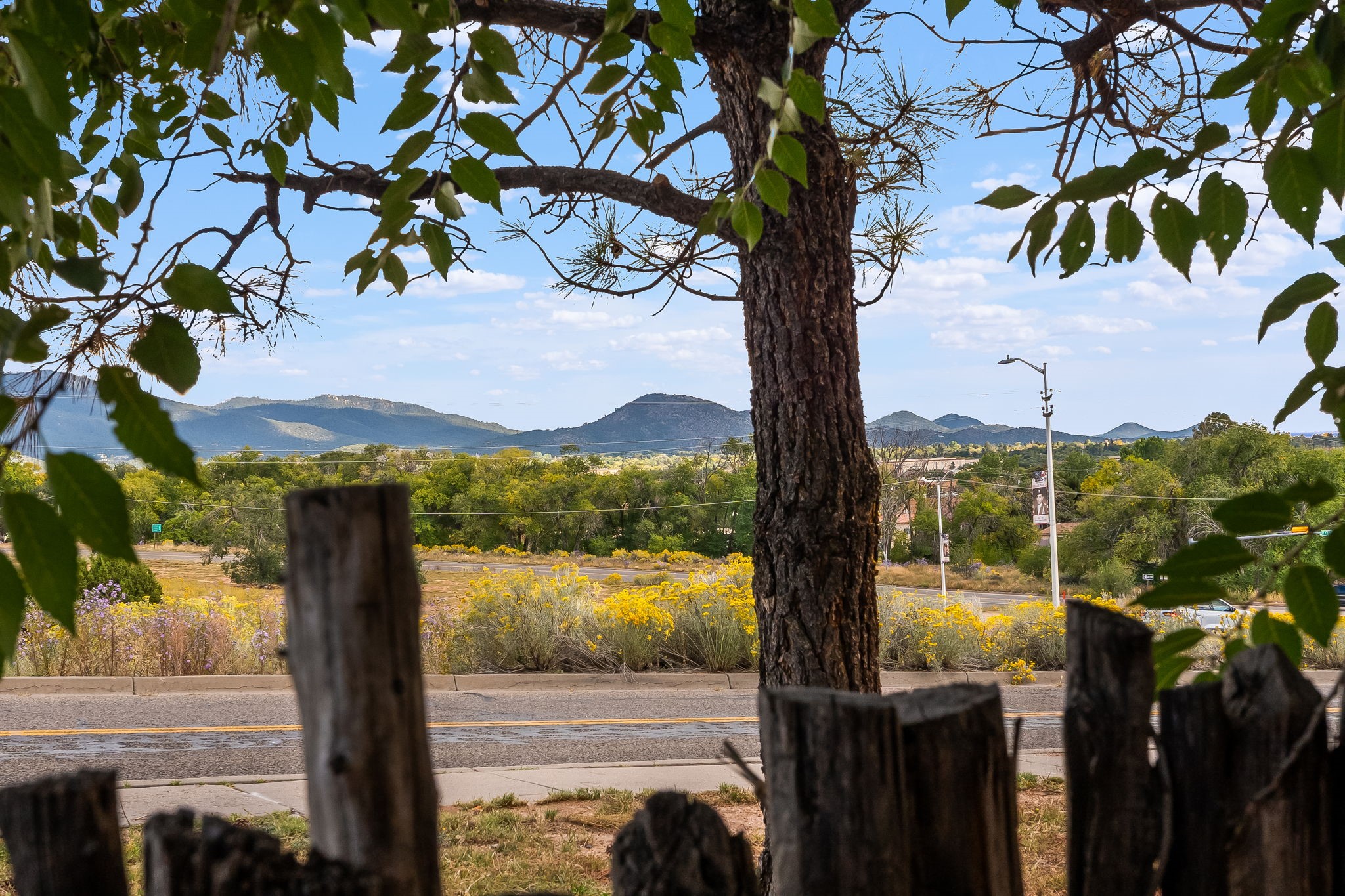 442 Greg Avenue C- 103 Avenue C-2