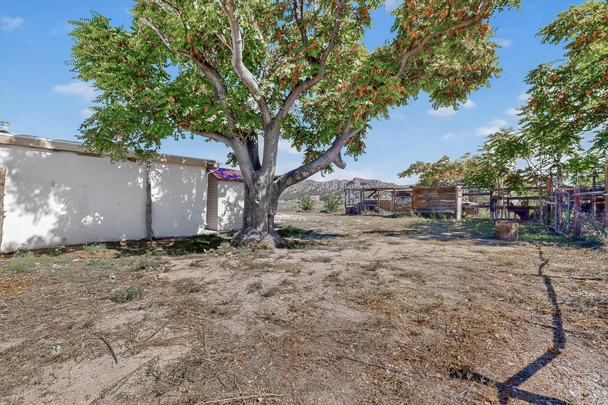1042 County Rd 41