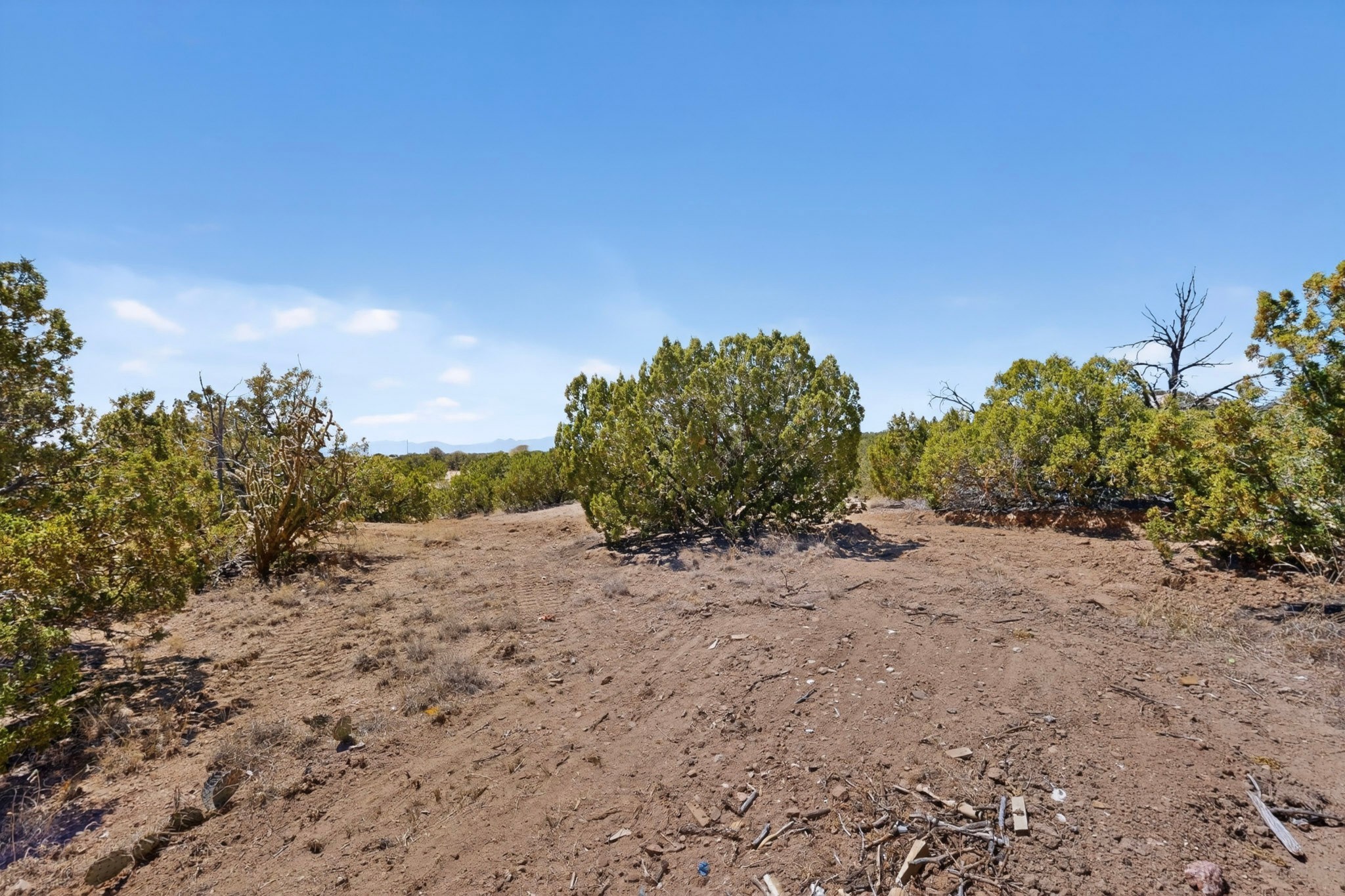 91 Cerro Alto Road