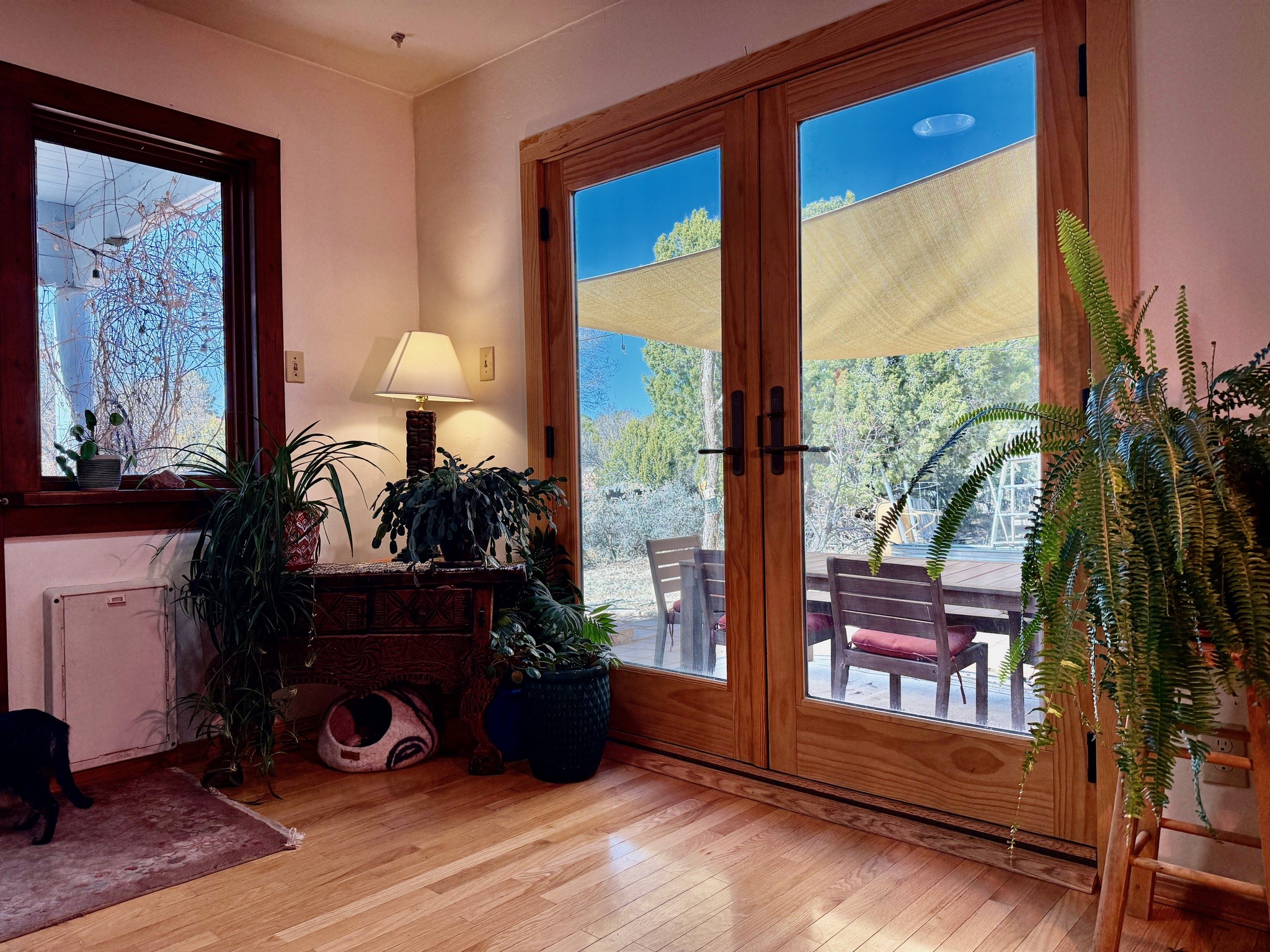 2107 Calle Tecolote