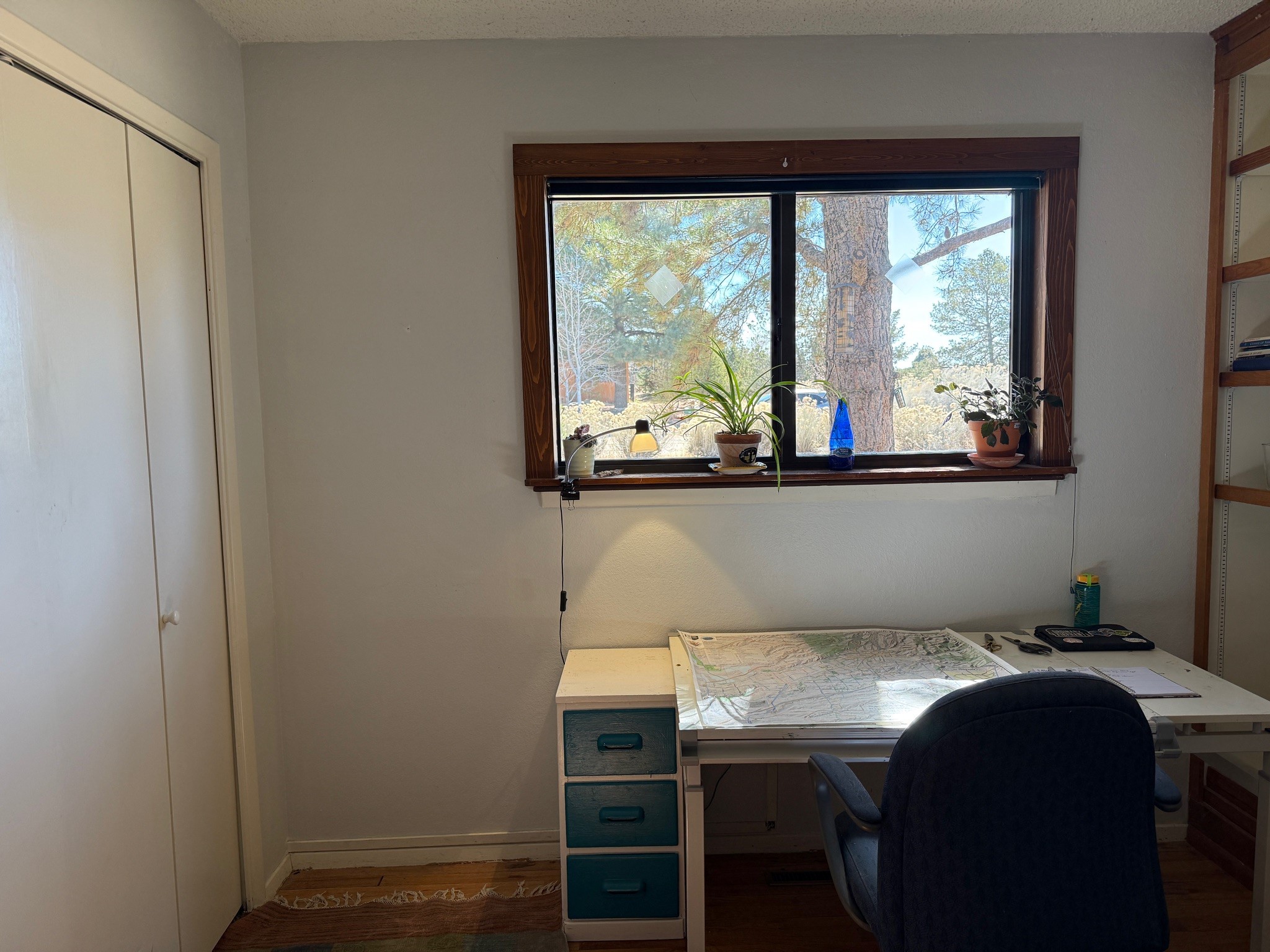 2107 Calle Tecolote