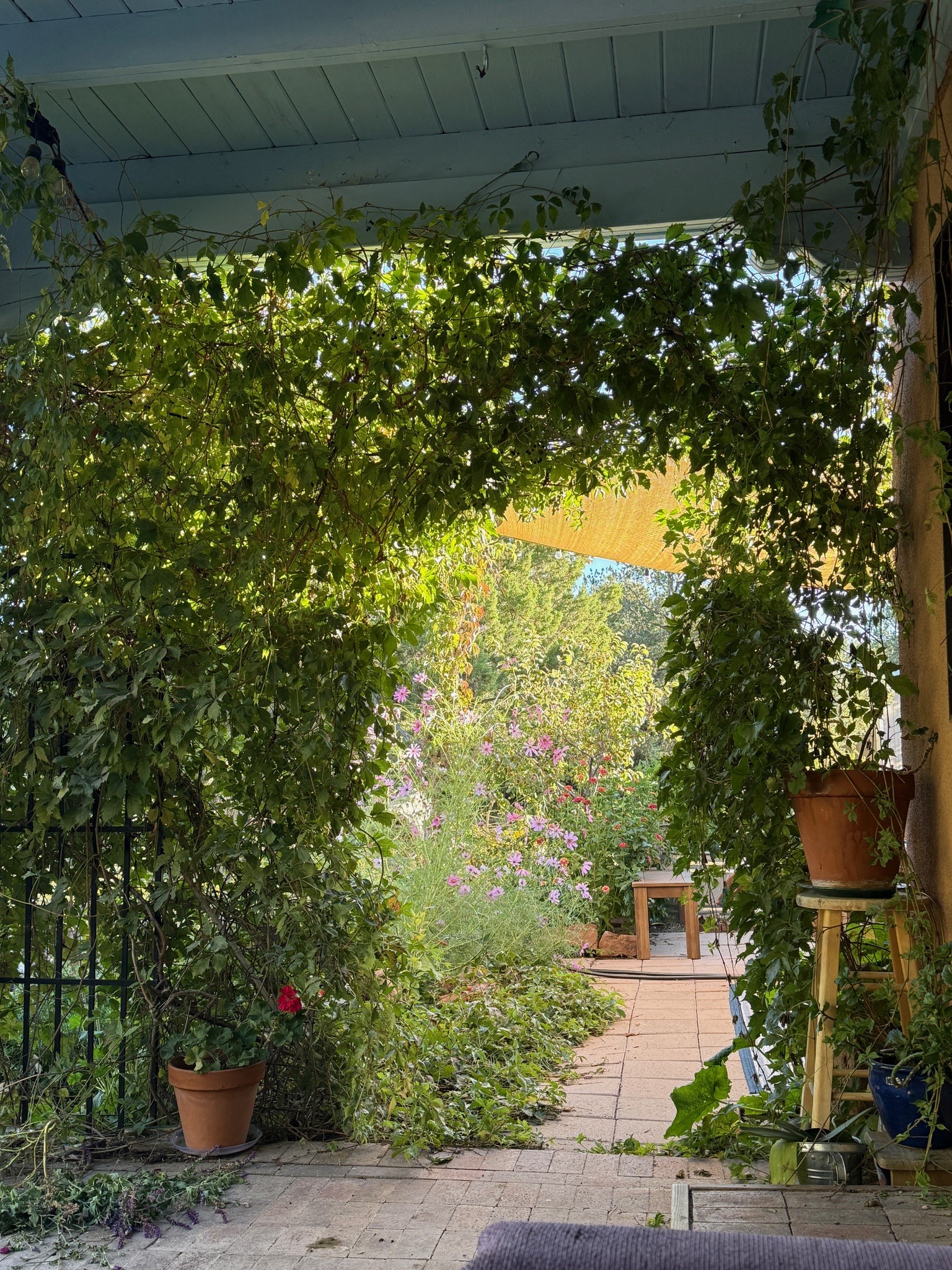 2107 Calle Tecolote