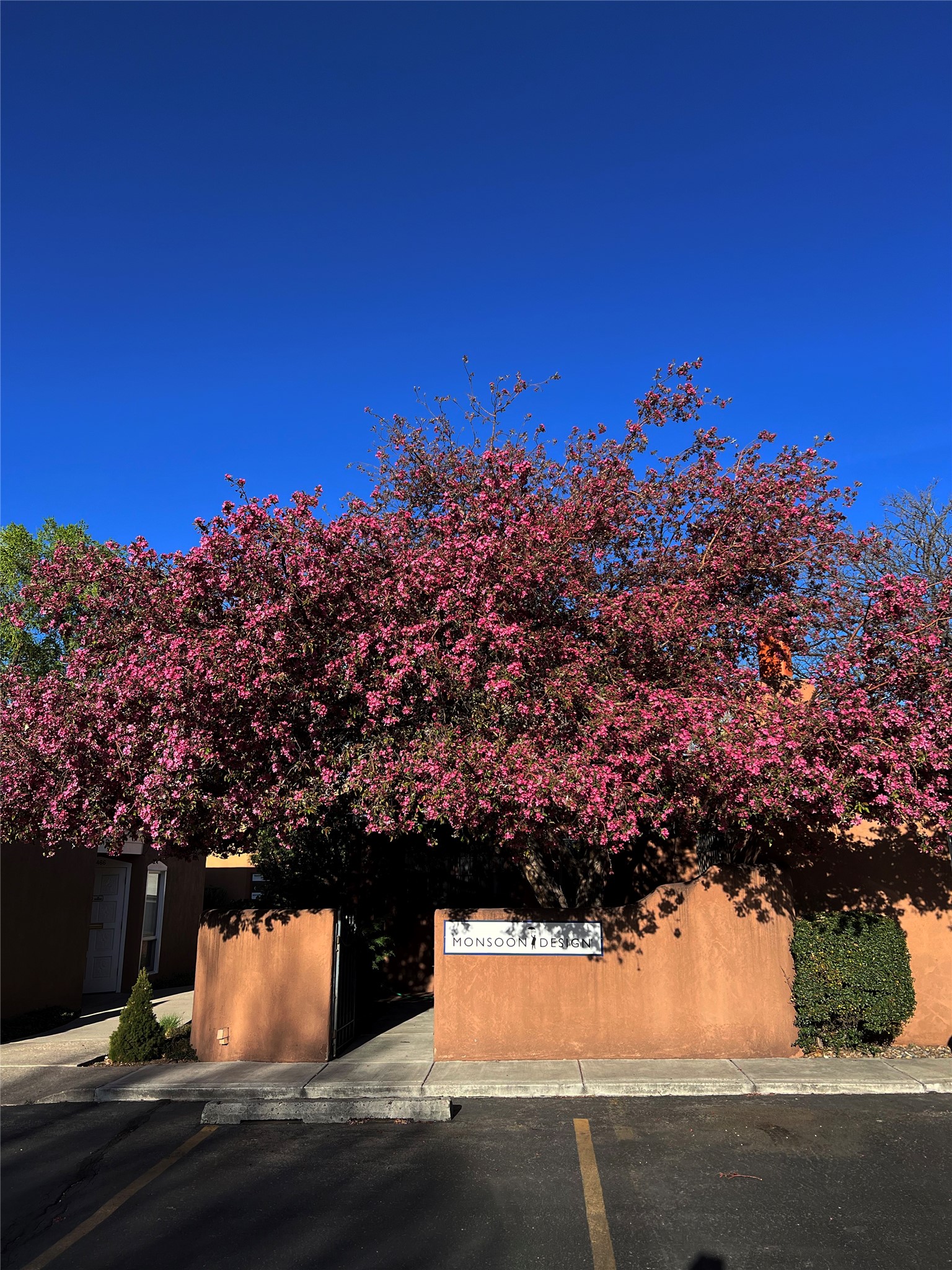 1456 S Saint Francis
