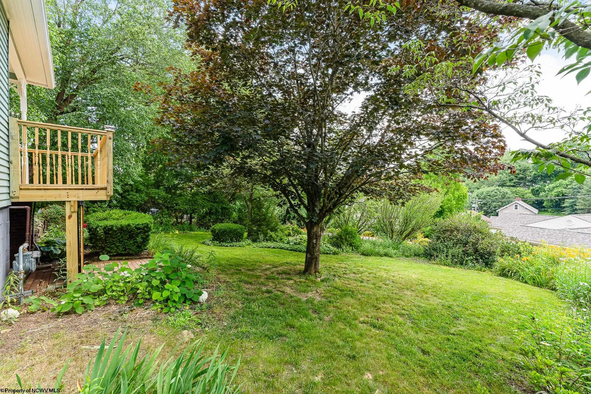 107 Ridgeley Road
