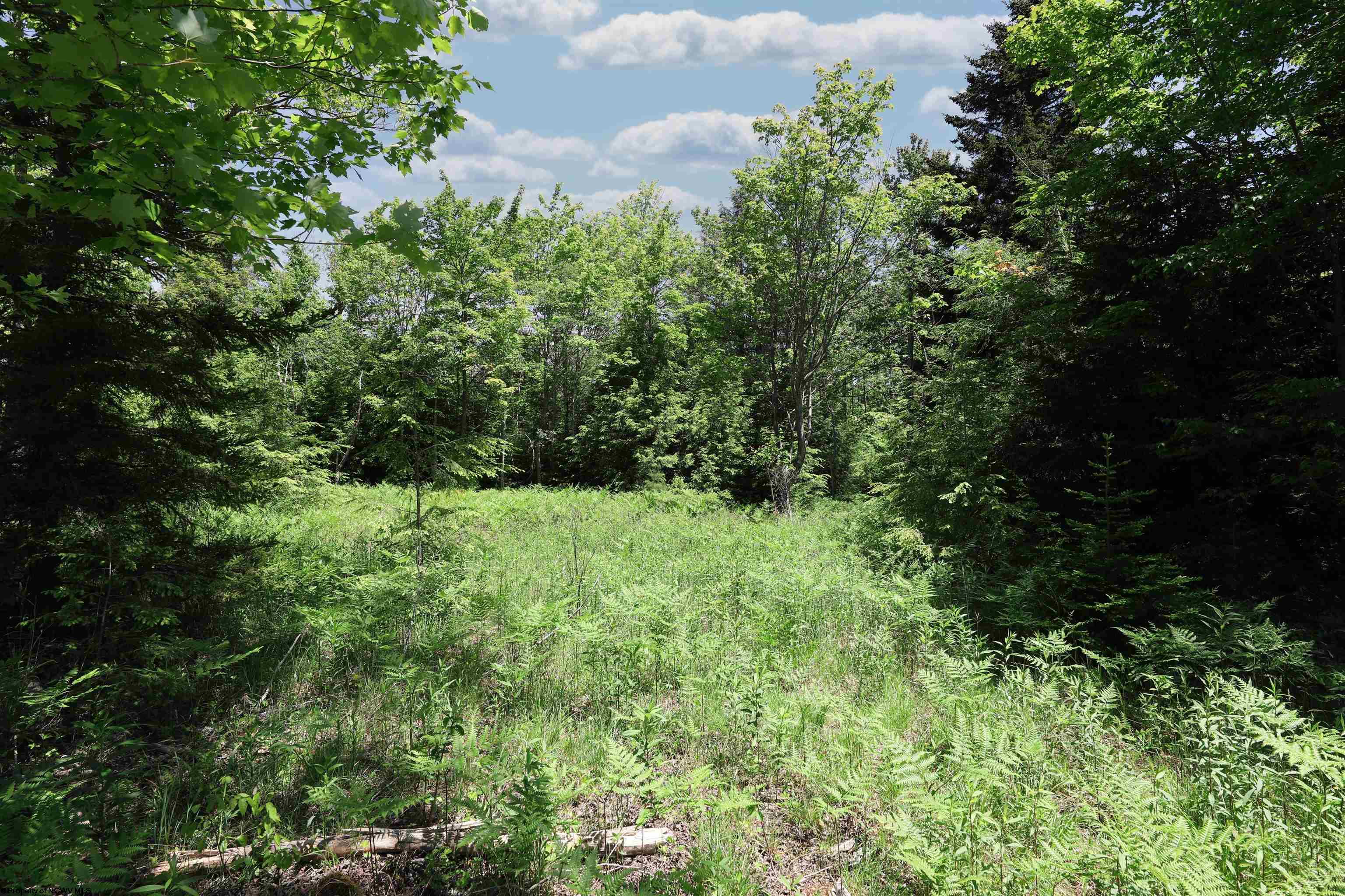 Lot 64 Venice Place
