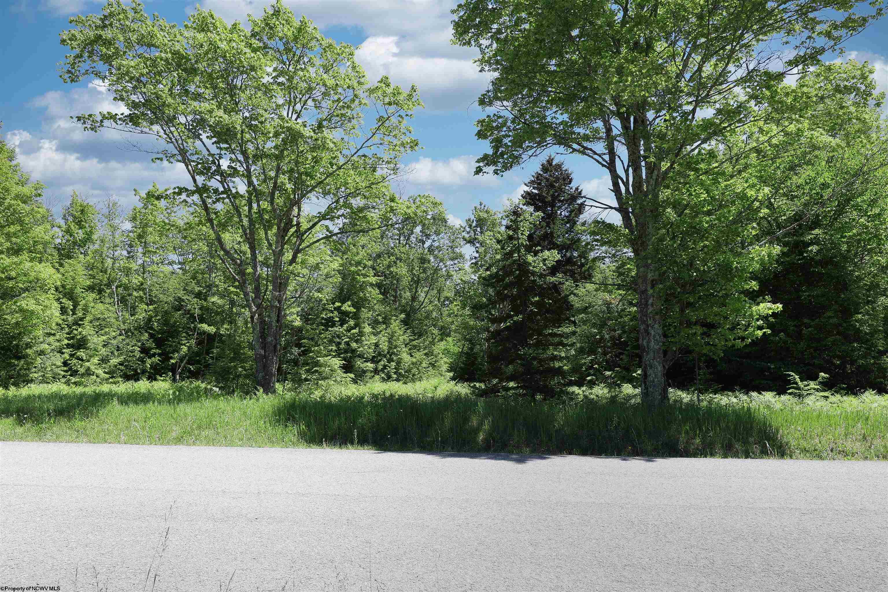 Lot 64 Venice Place