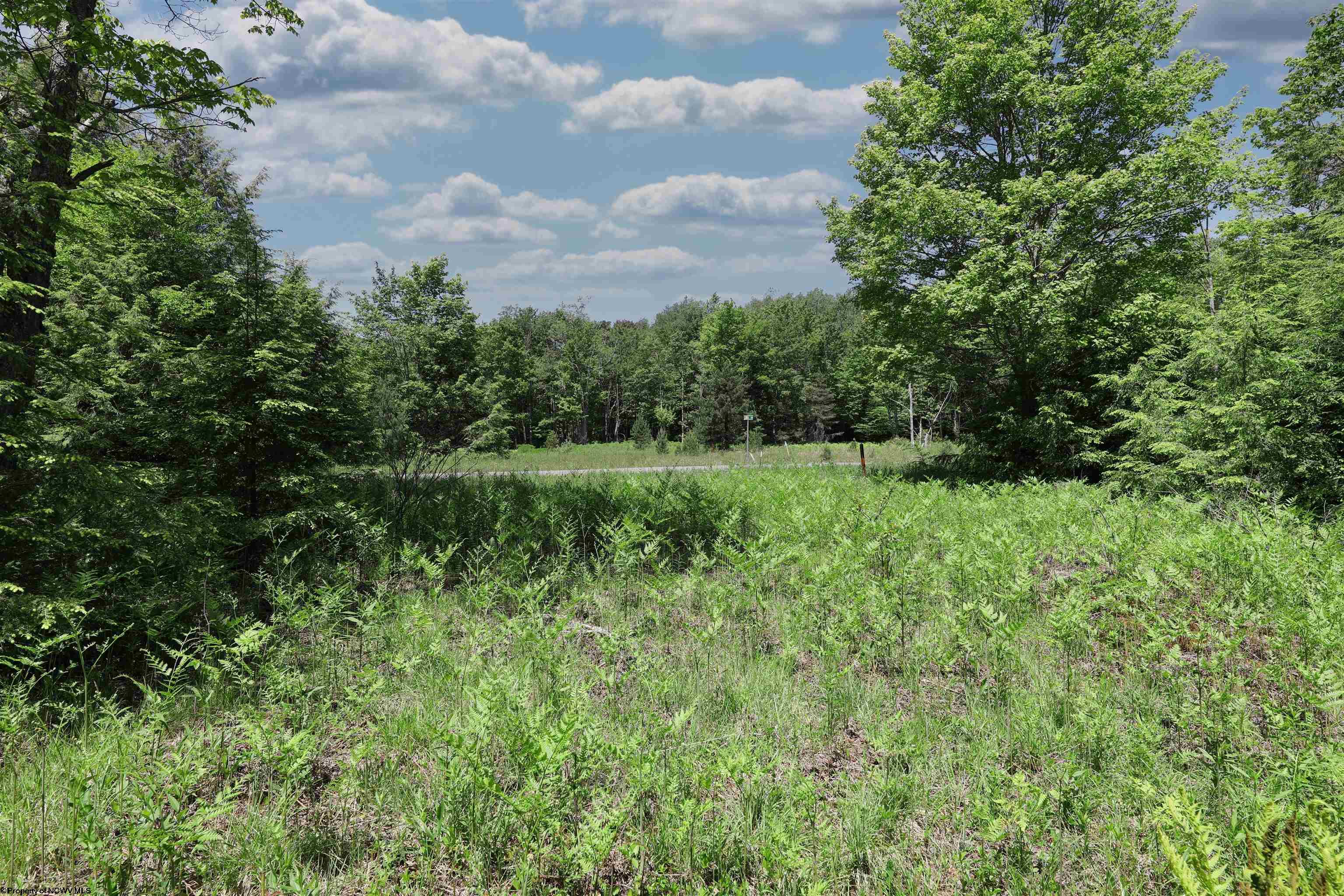 Lot 64 Venice Place