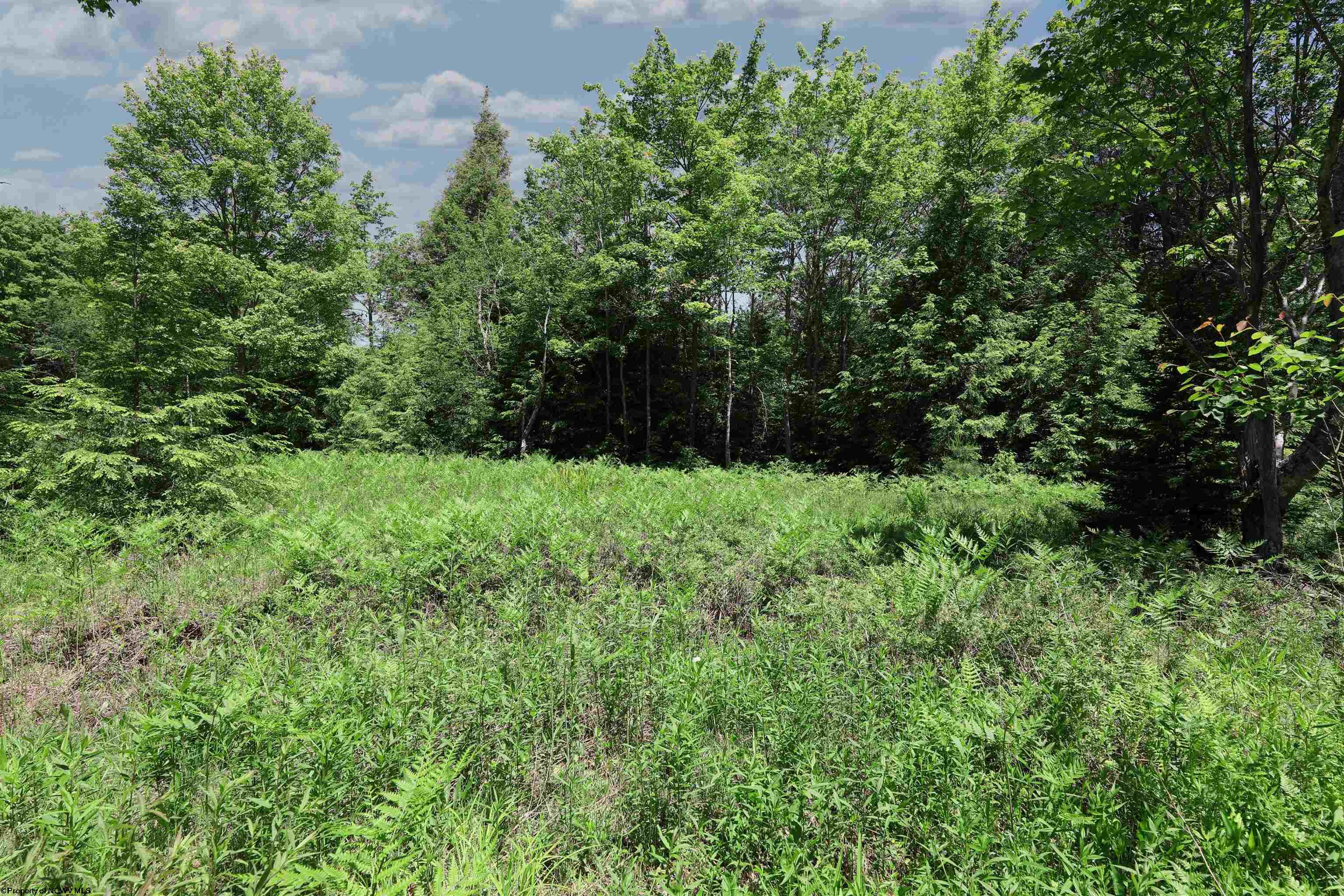 Lot 64 Venice Place