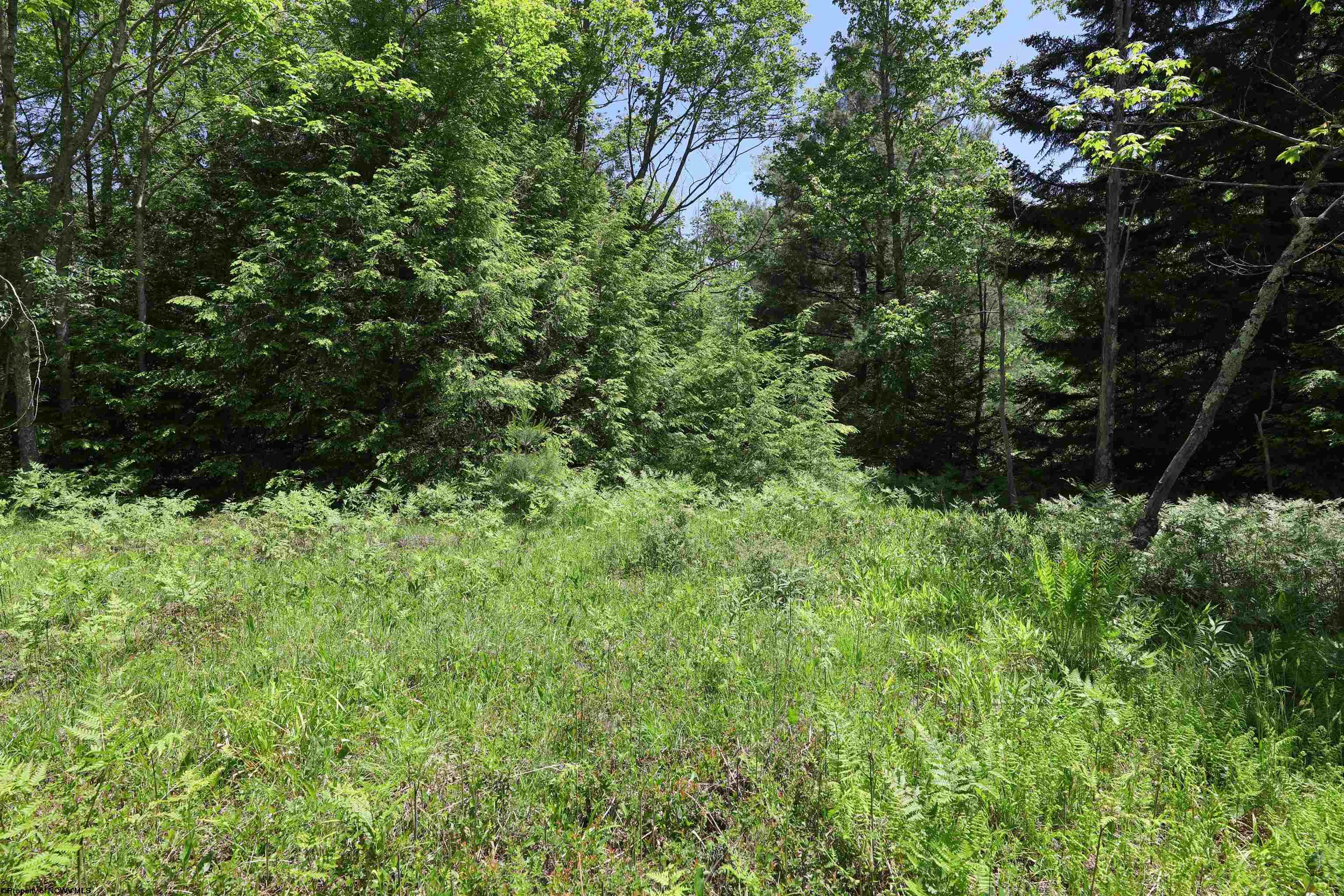 Lot 64 Venice Place