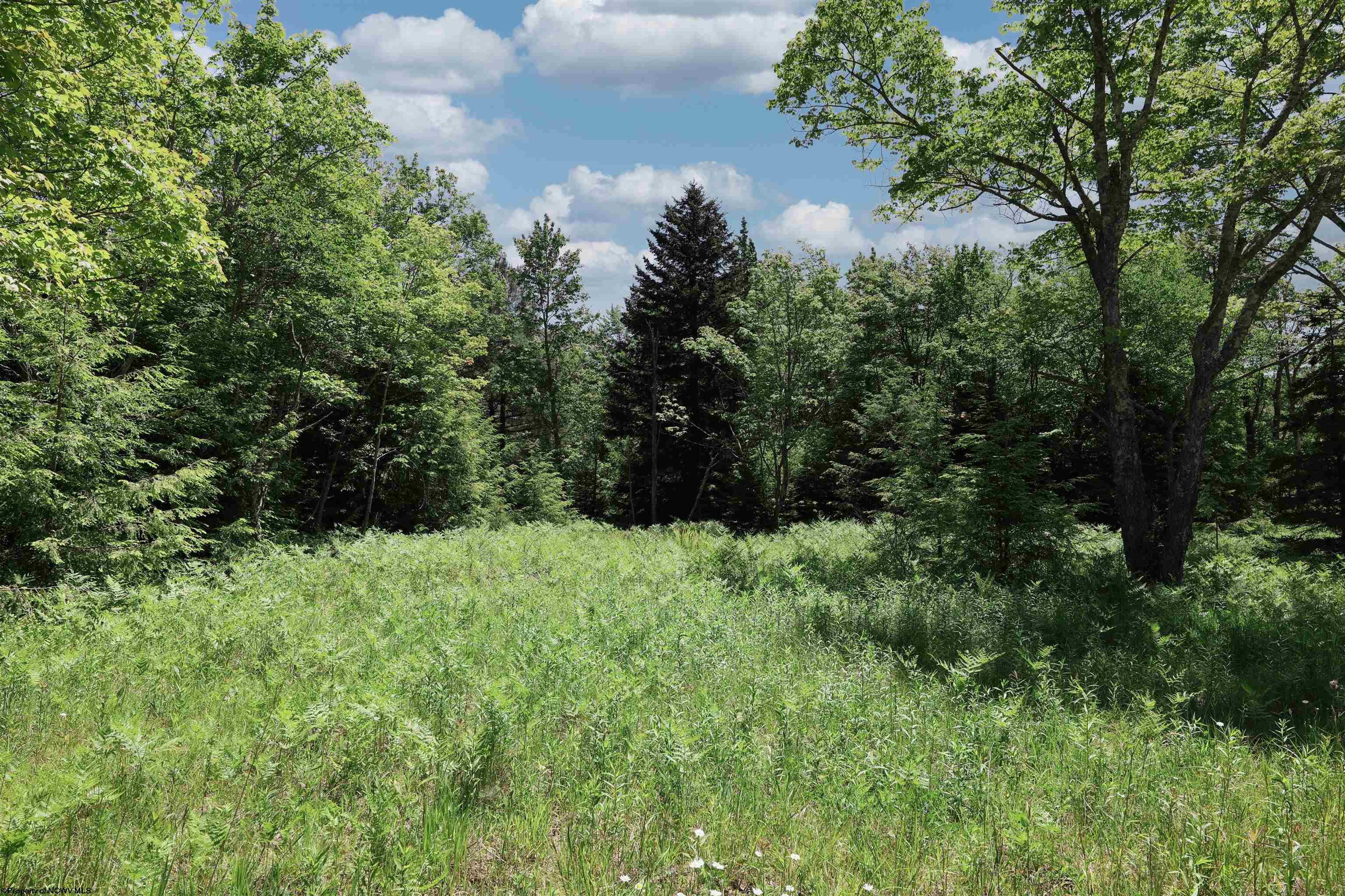 Lot 64 Venice Place