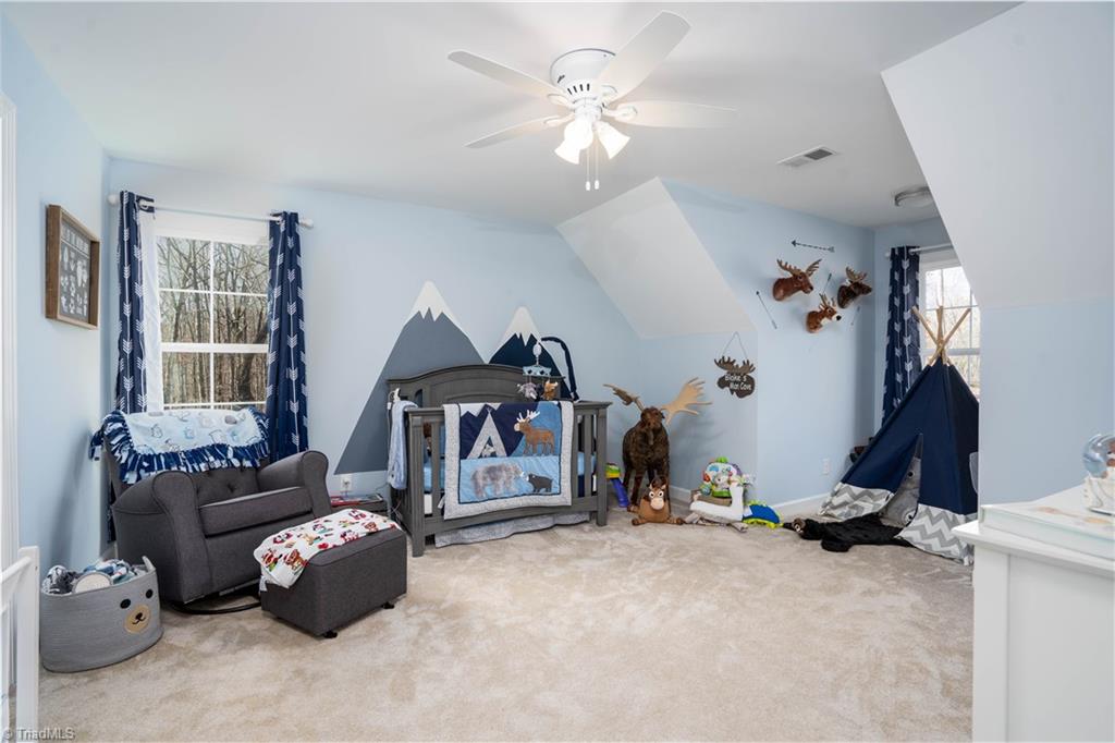 399 Healing Springs Drive