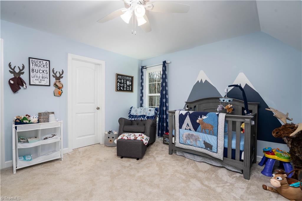 399 Healing Springs Drive