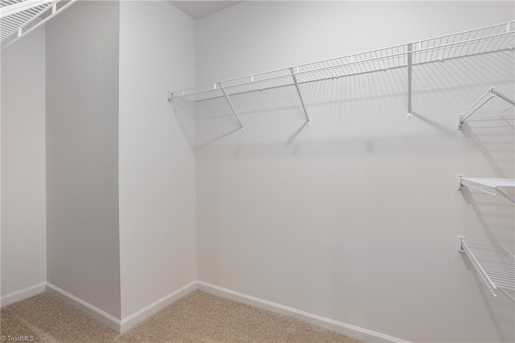 221 Tanager Trail
