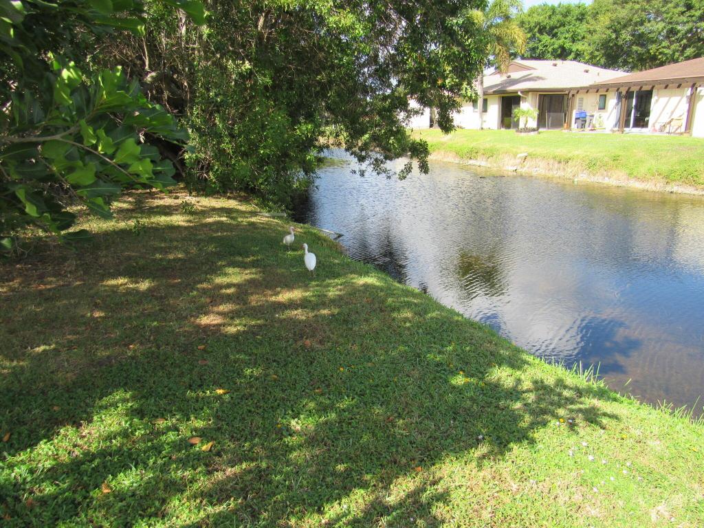 5115 Rose Hill Drive