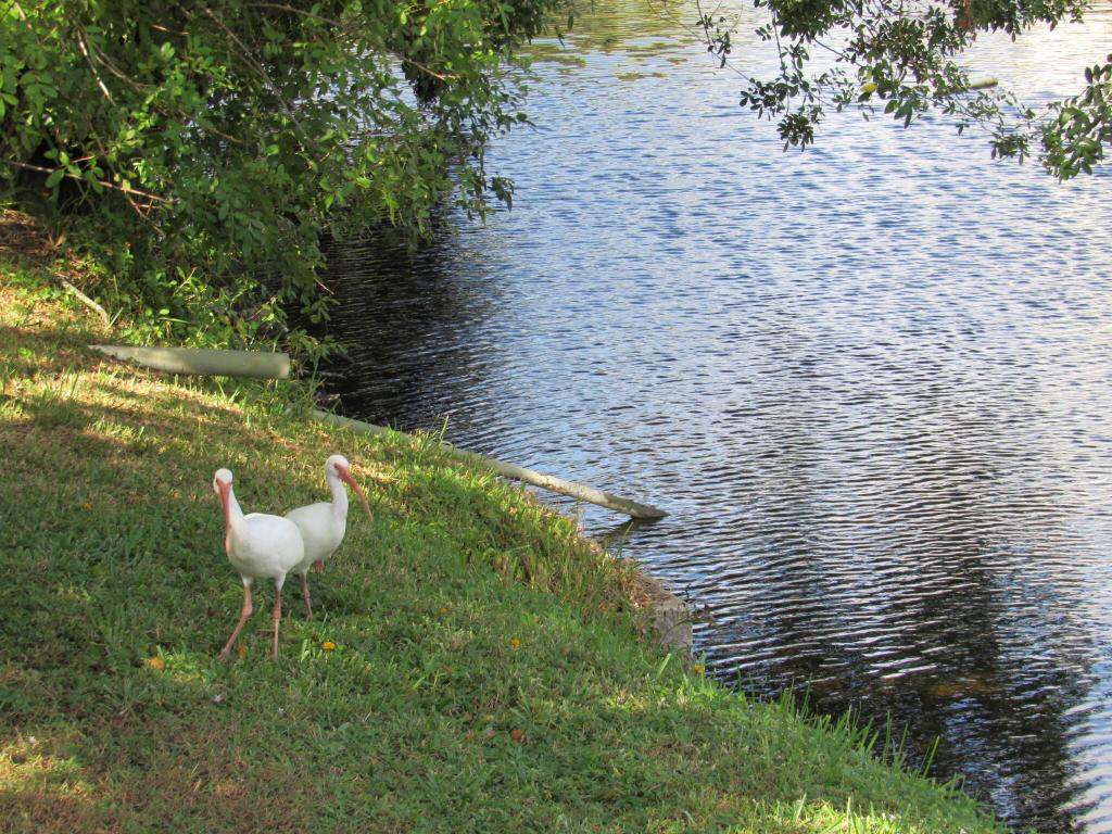 5115 Rose Hill Drive