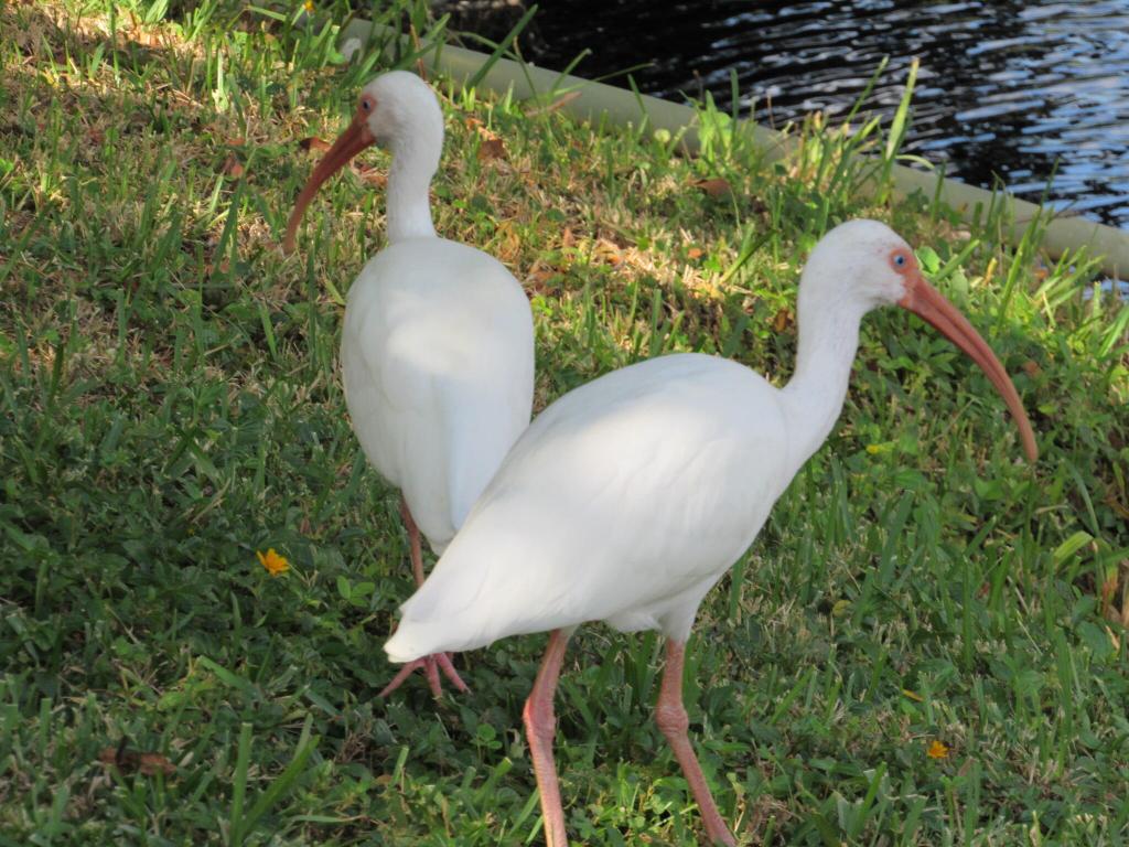 5115 Rose Hill Drive