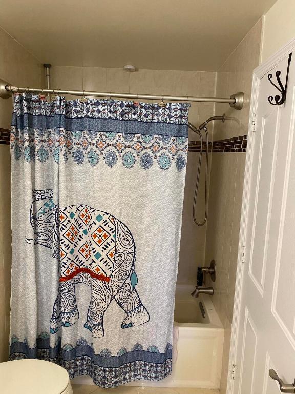 255 NE 3rd Avenue Unit: 405