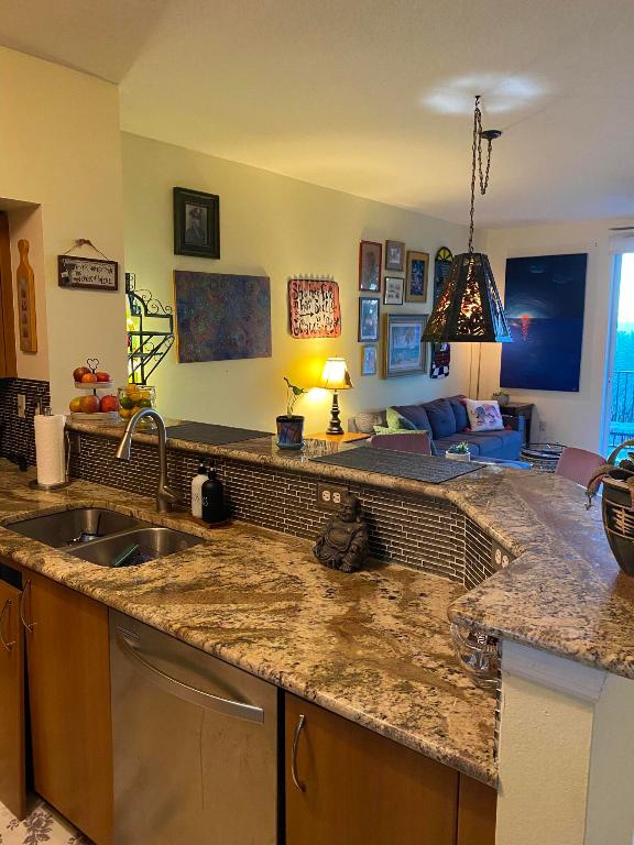 255 NE 3rd Avenue Unit: 405