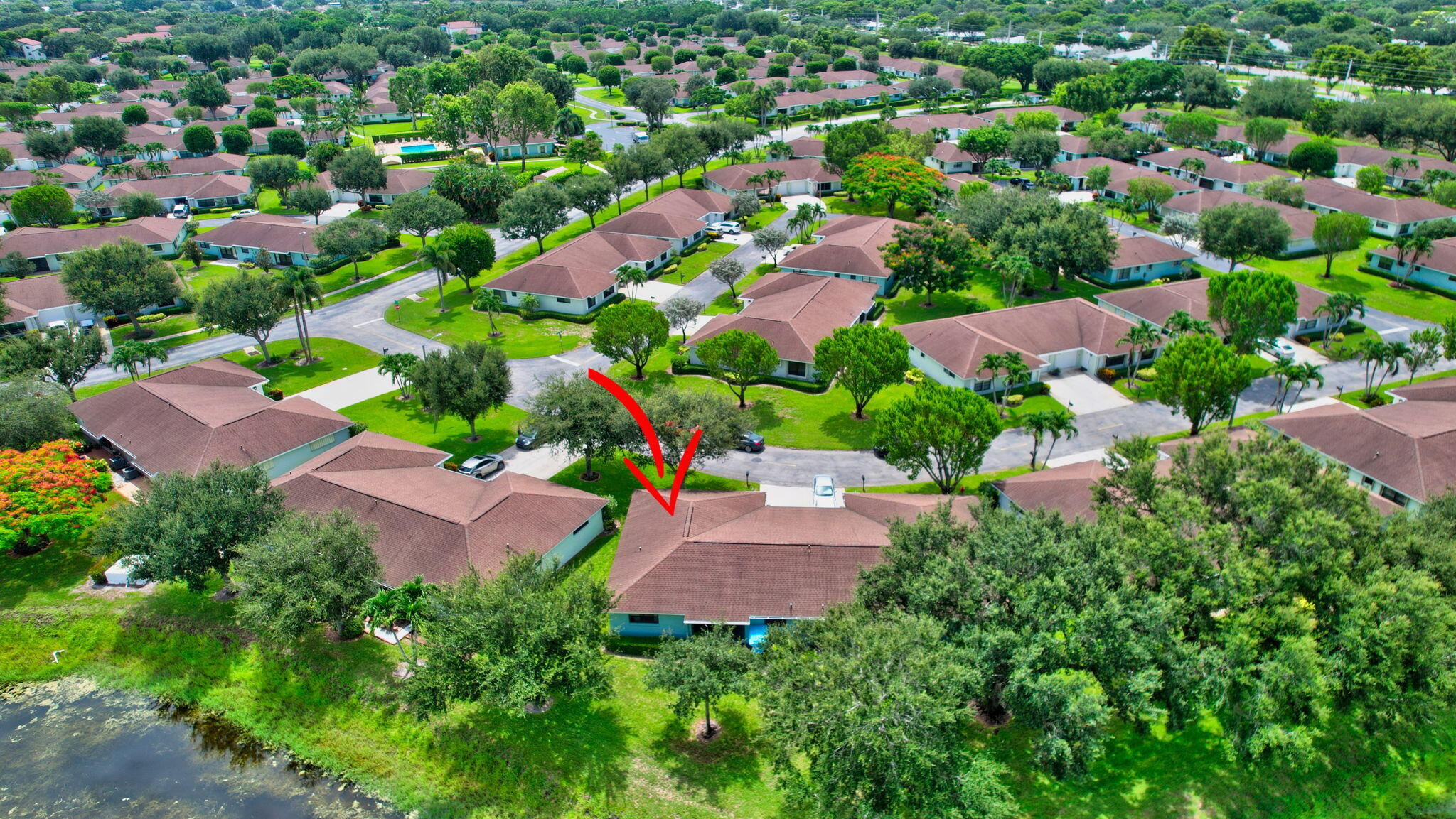 9875 Papaya Tree Trail B