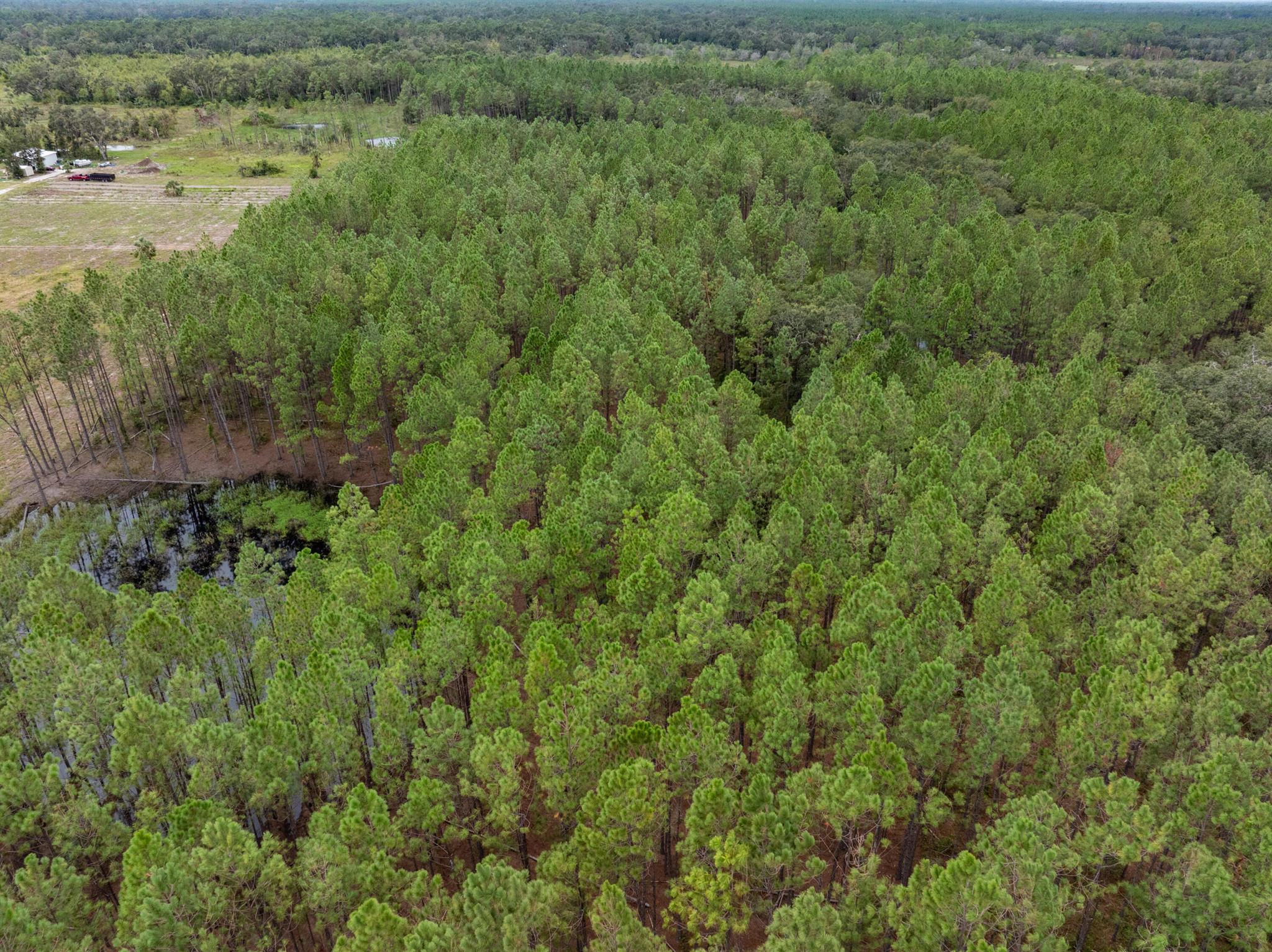 Section 20 Township 5 Range 8 E