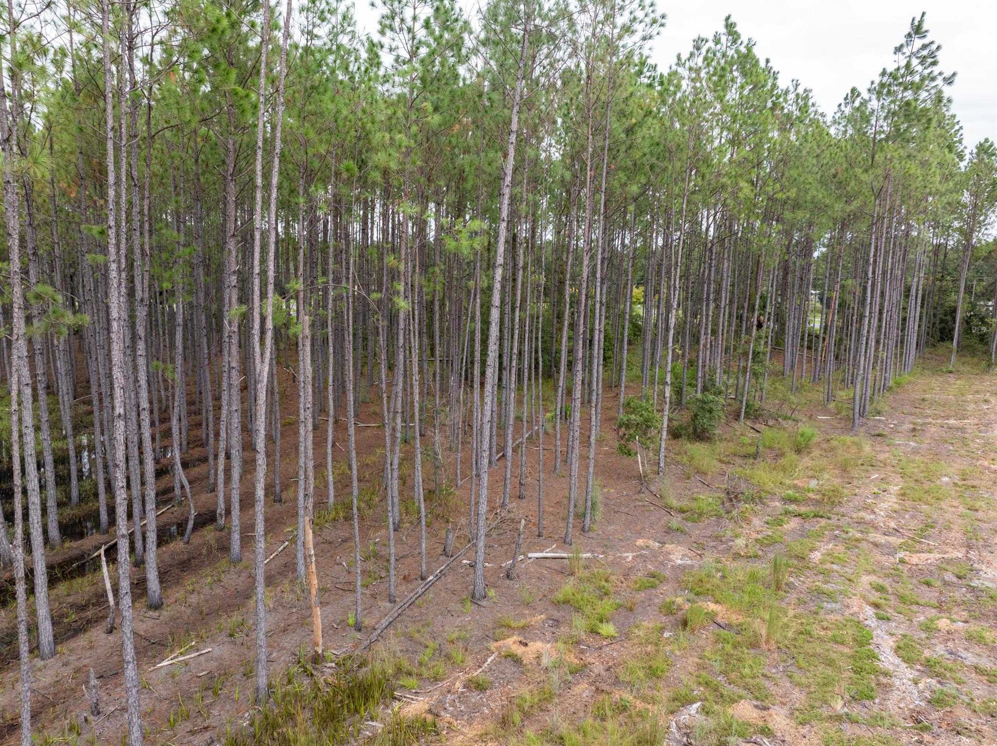 Section 20 Township 5 Range 8 E