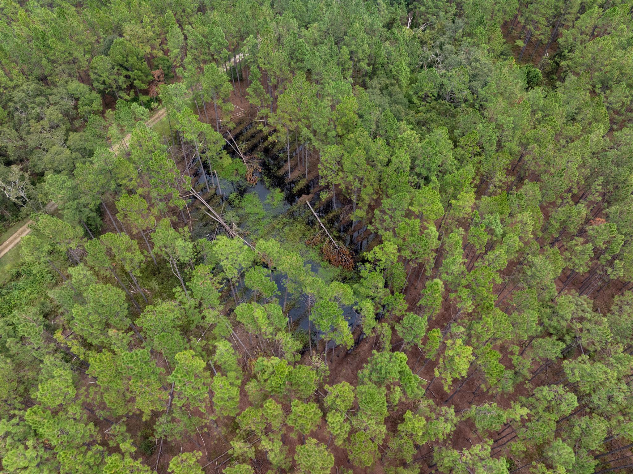 Section 20 Township 5 Range 8 E