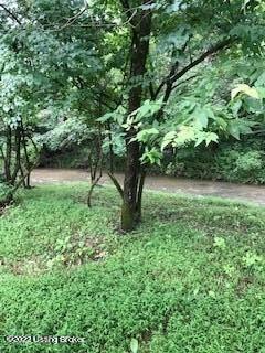 12880 S Pope Lick Rd