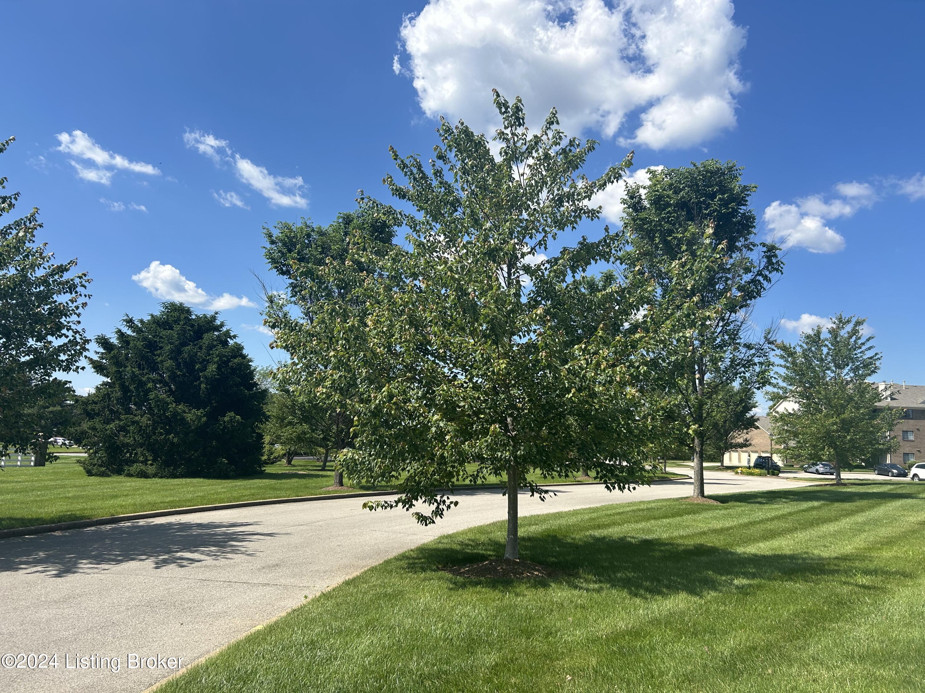 3903 Yardley Ct, 103