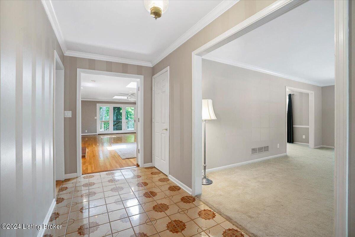 3613 Trail Ridge Rd