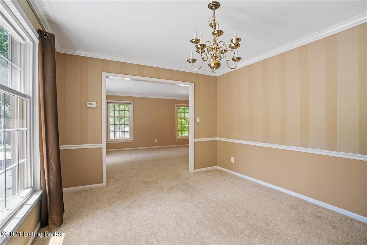 3613 Trail Ridge Rd