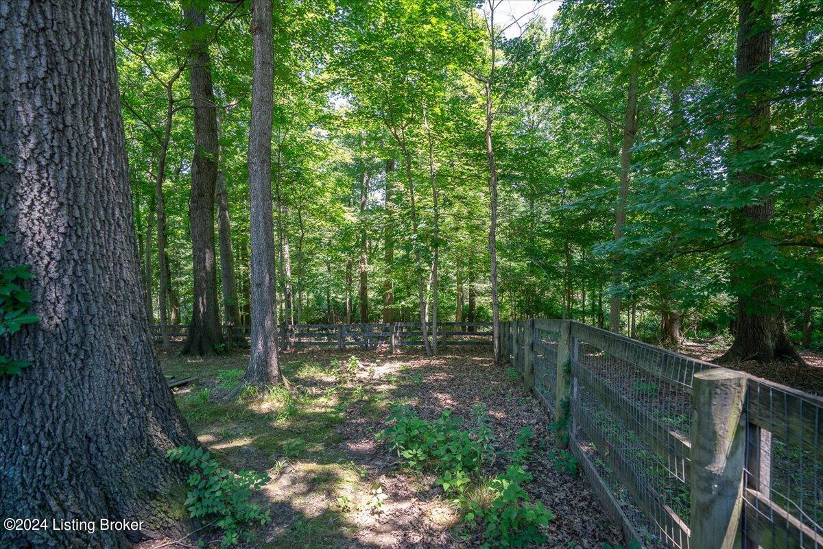 3613 Trail Ridge Rd