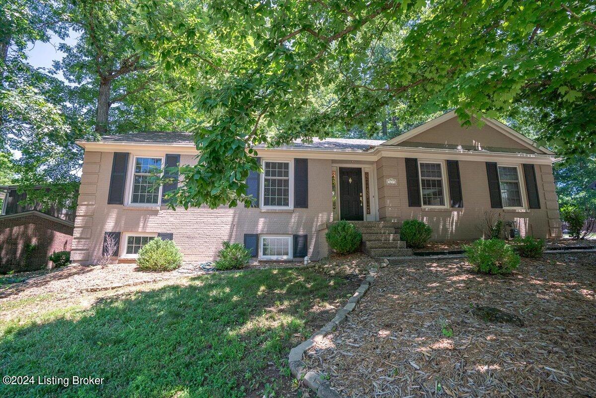 3613 Trail Ridge Rd