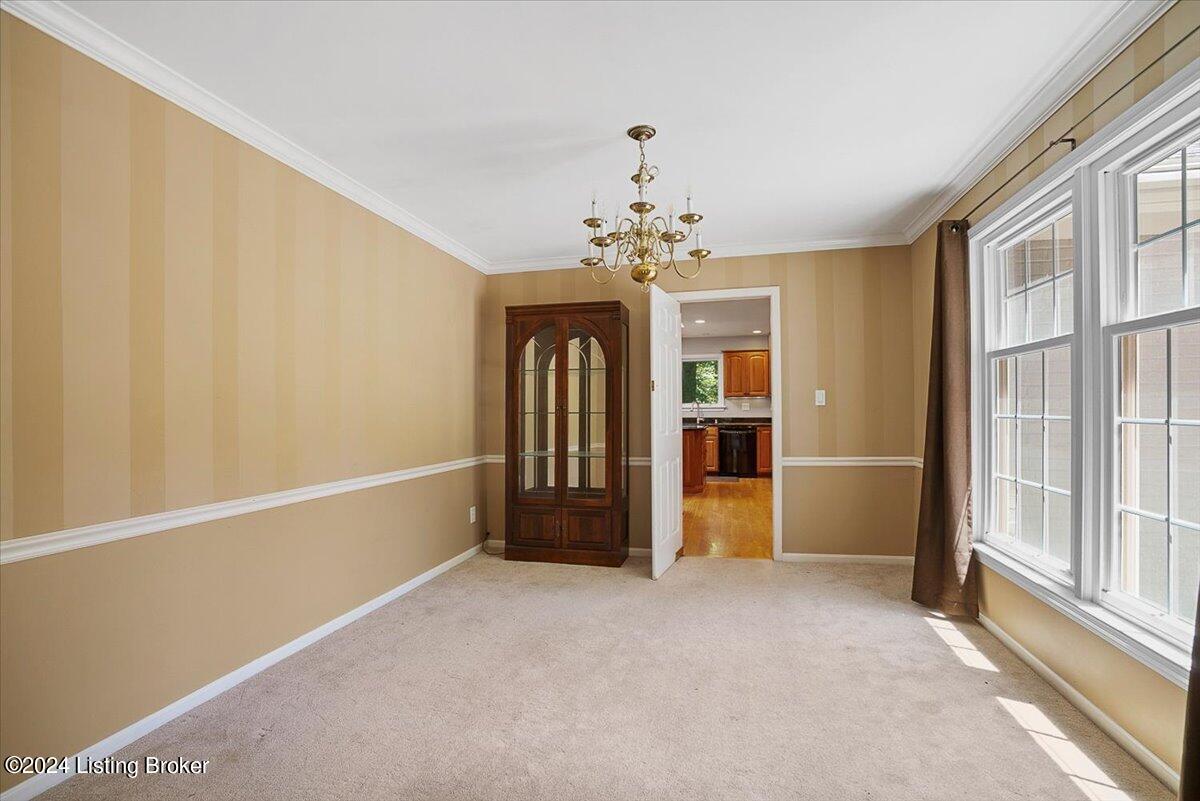 3613 Trail Ridge Rd