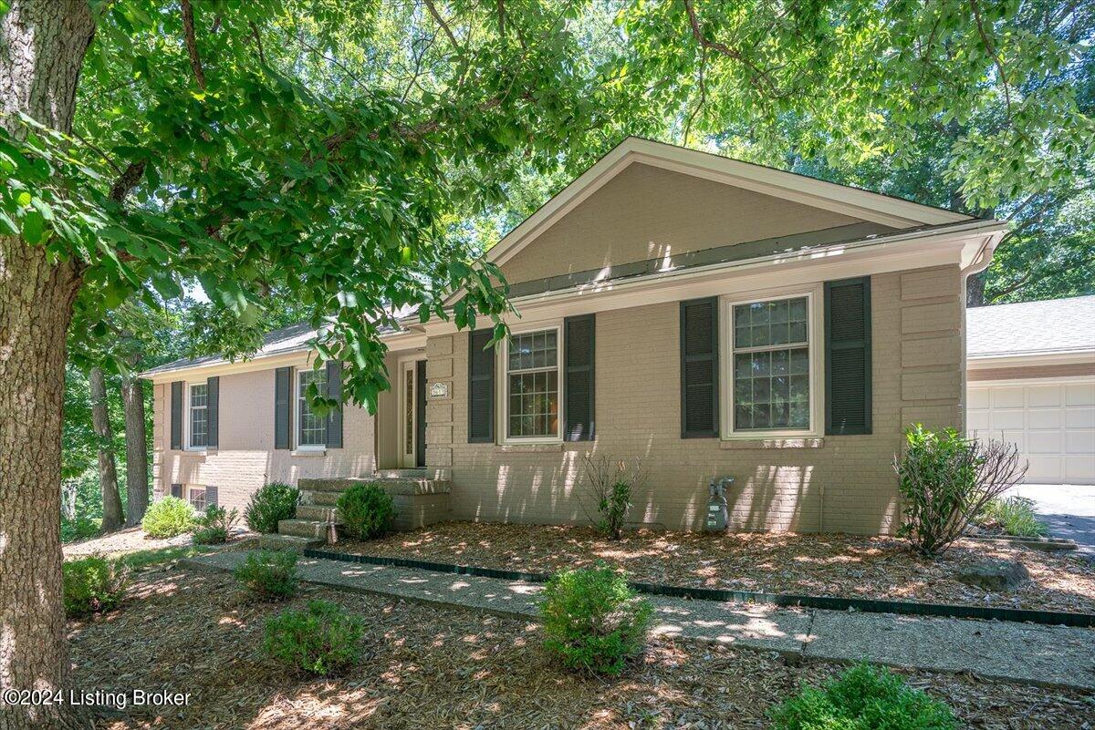 3613 Trail Ridge Rd