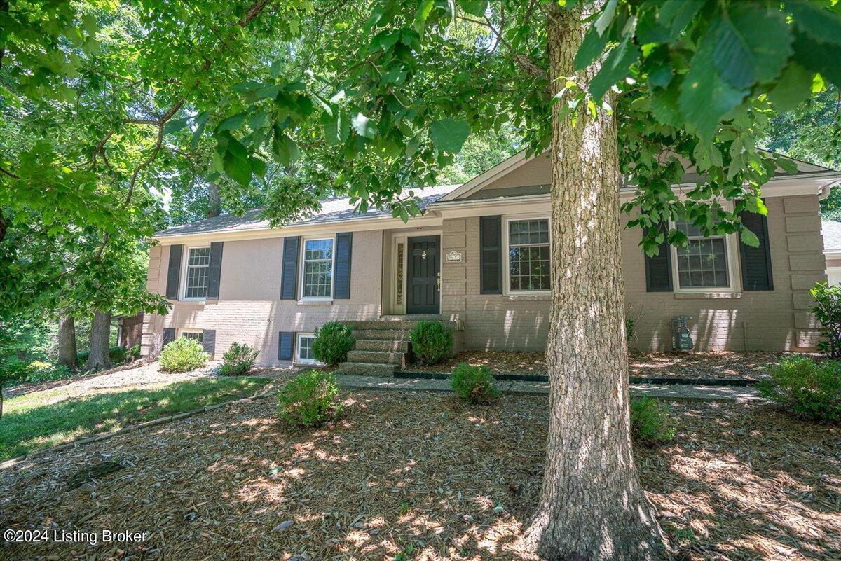 3613 Trail Ridge Rd