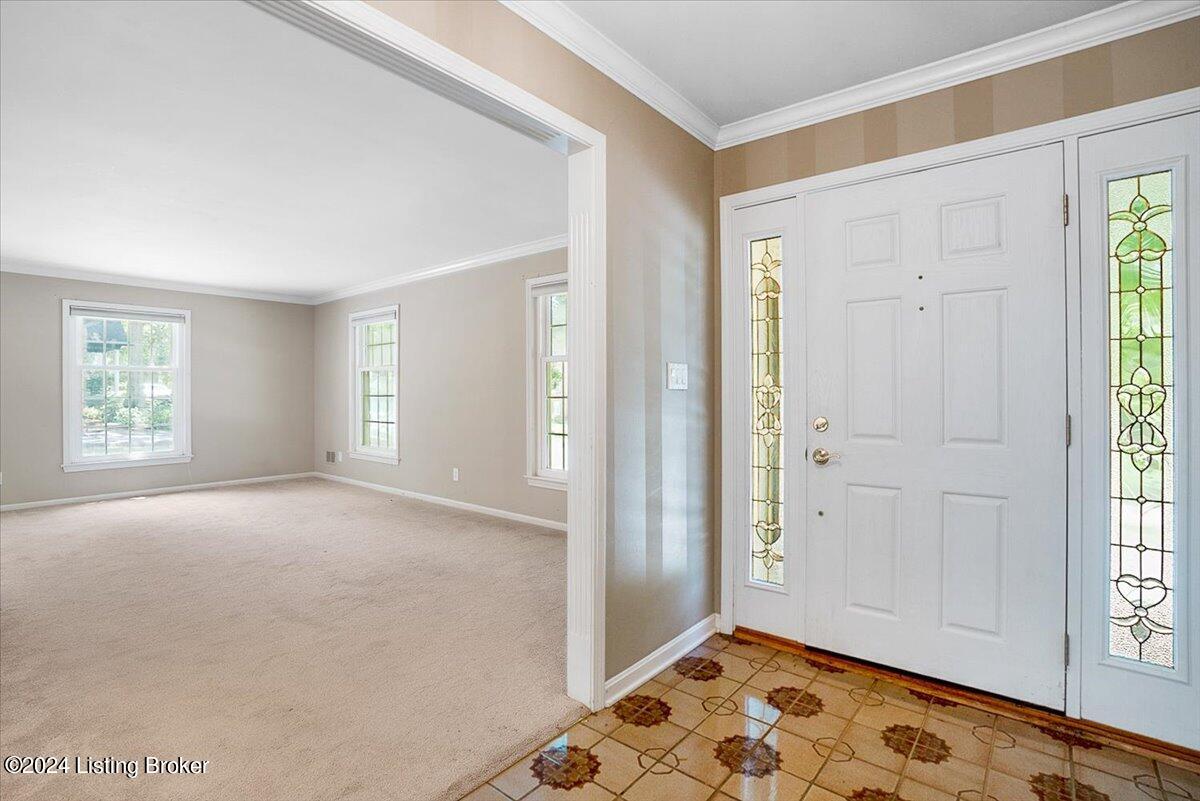 3613 Trail Ridge Rd