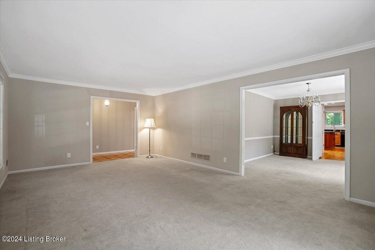 3613 Trail Ridge Rd