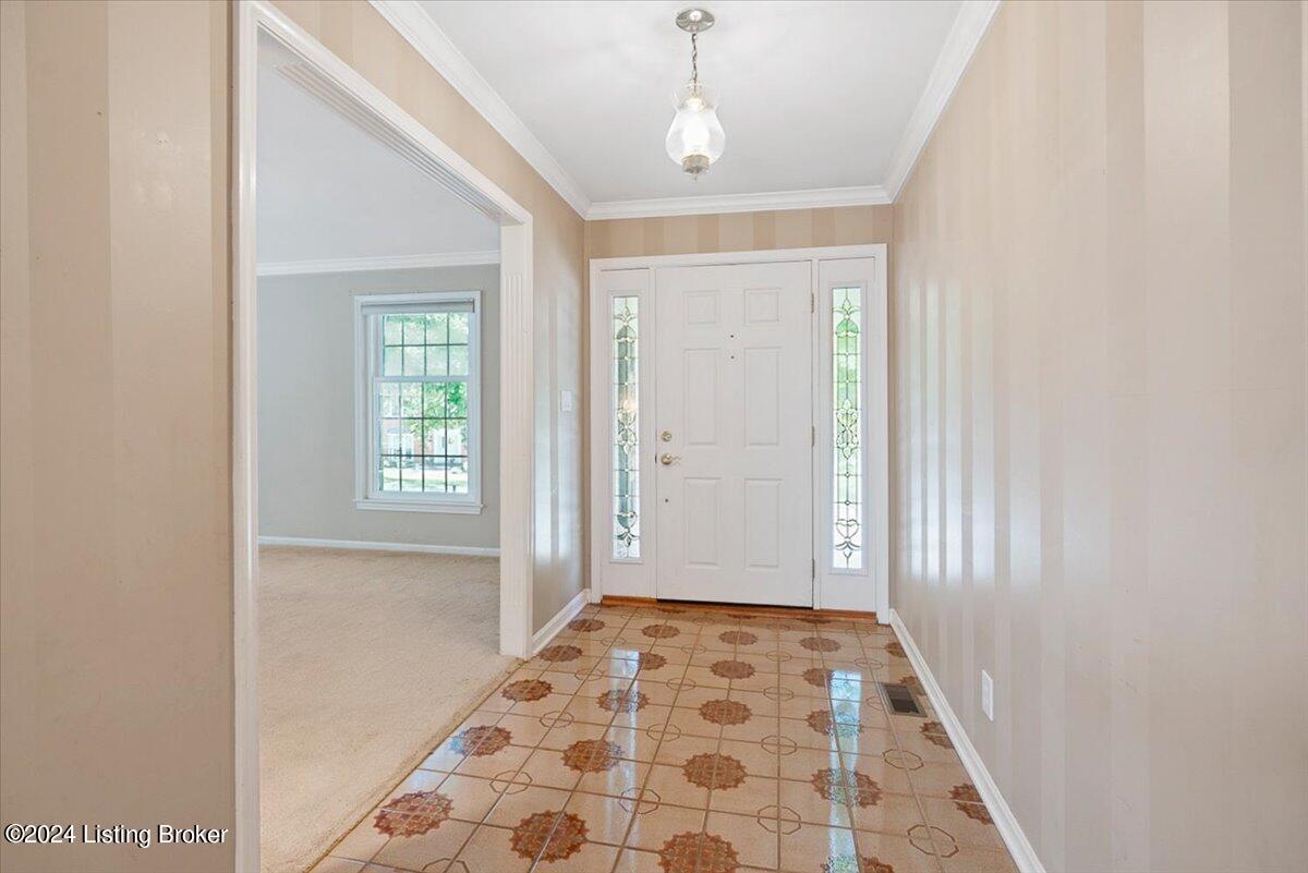3613 Trail Ridge Rd