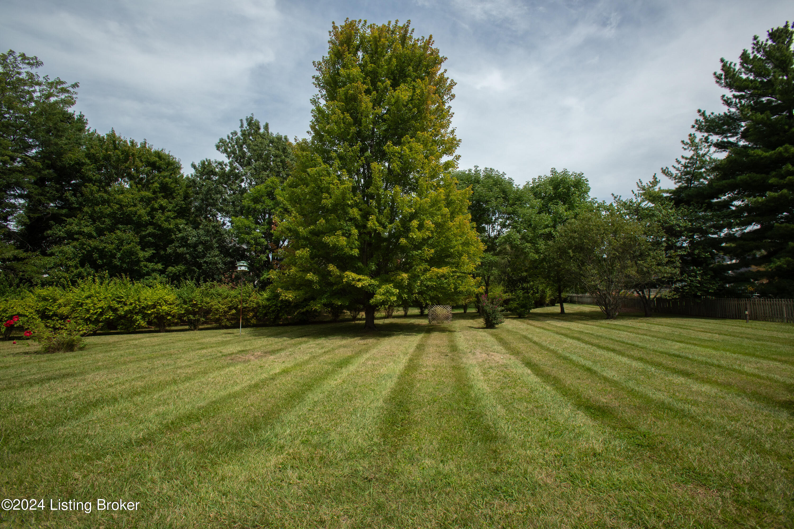 3803 Tynebrae Ct