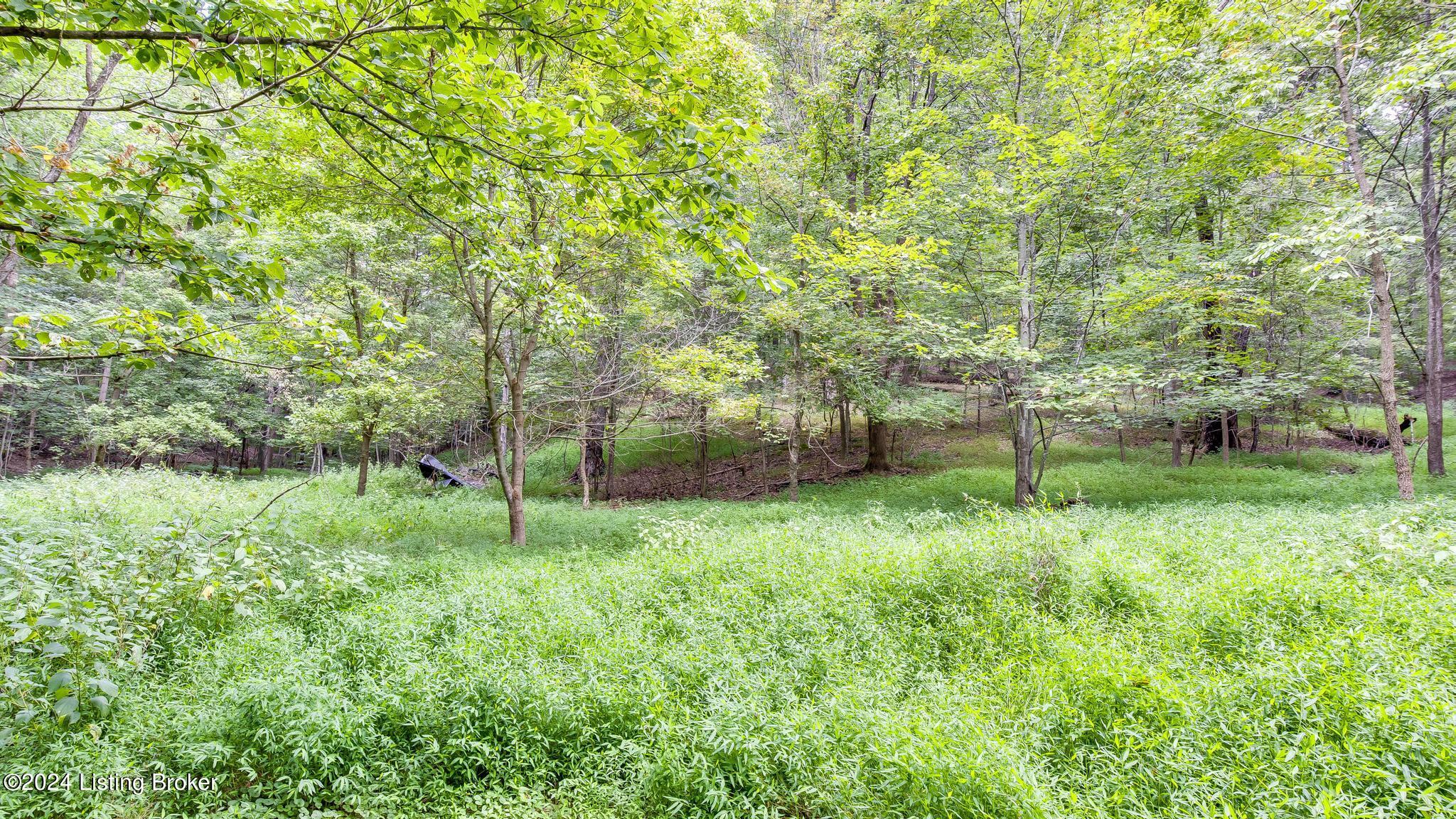 12901 Saw Mill Rd