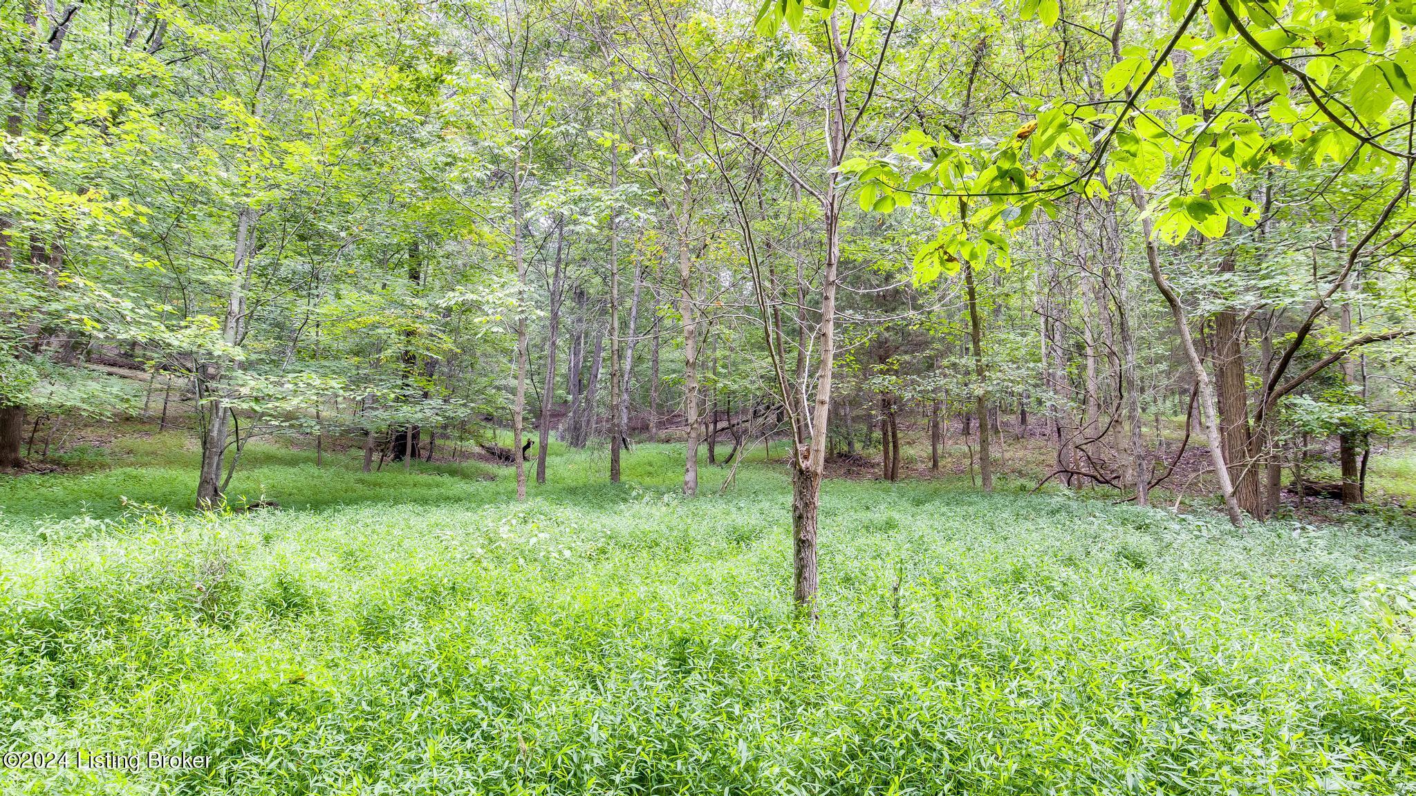 12901 Saw Mill Rd