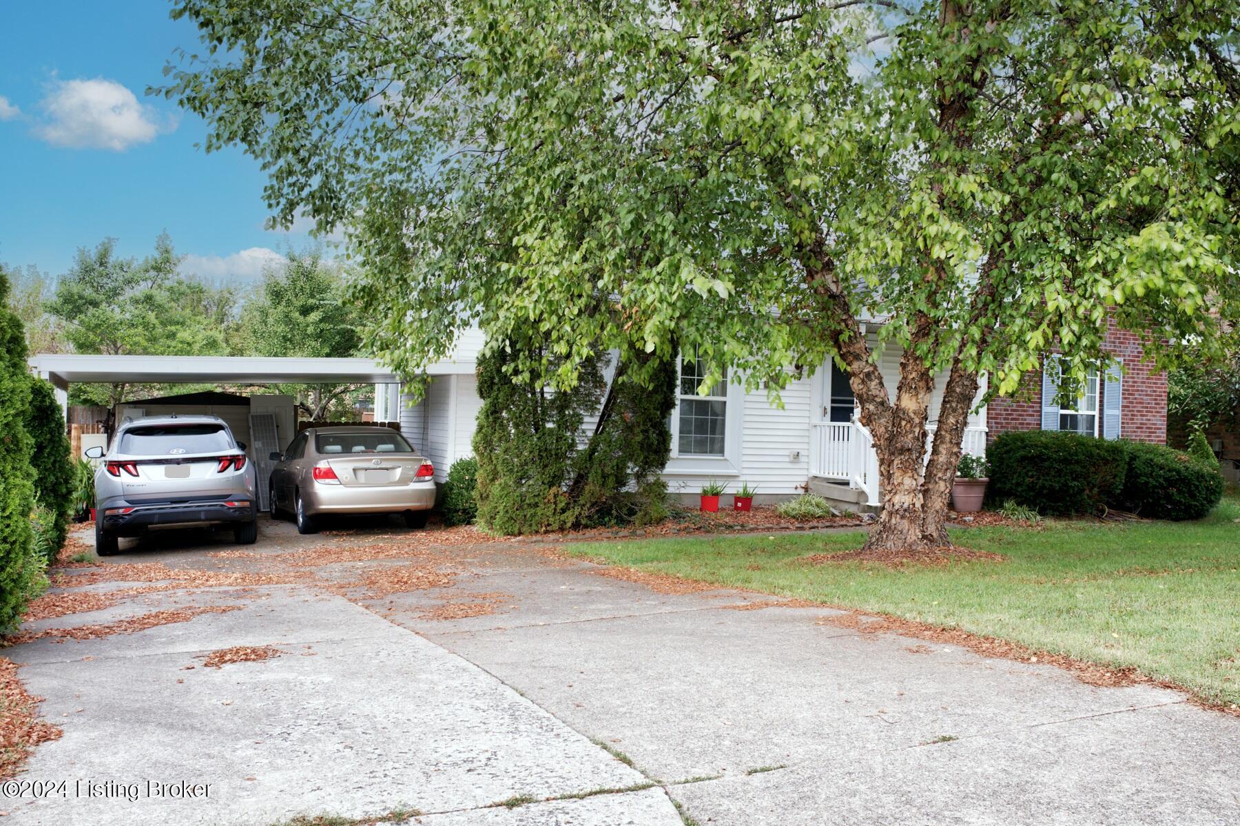10017 Lauralynn Ct