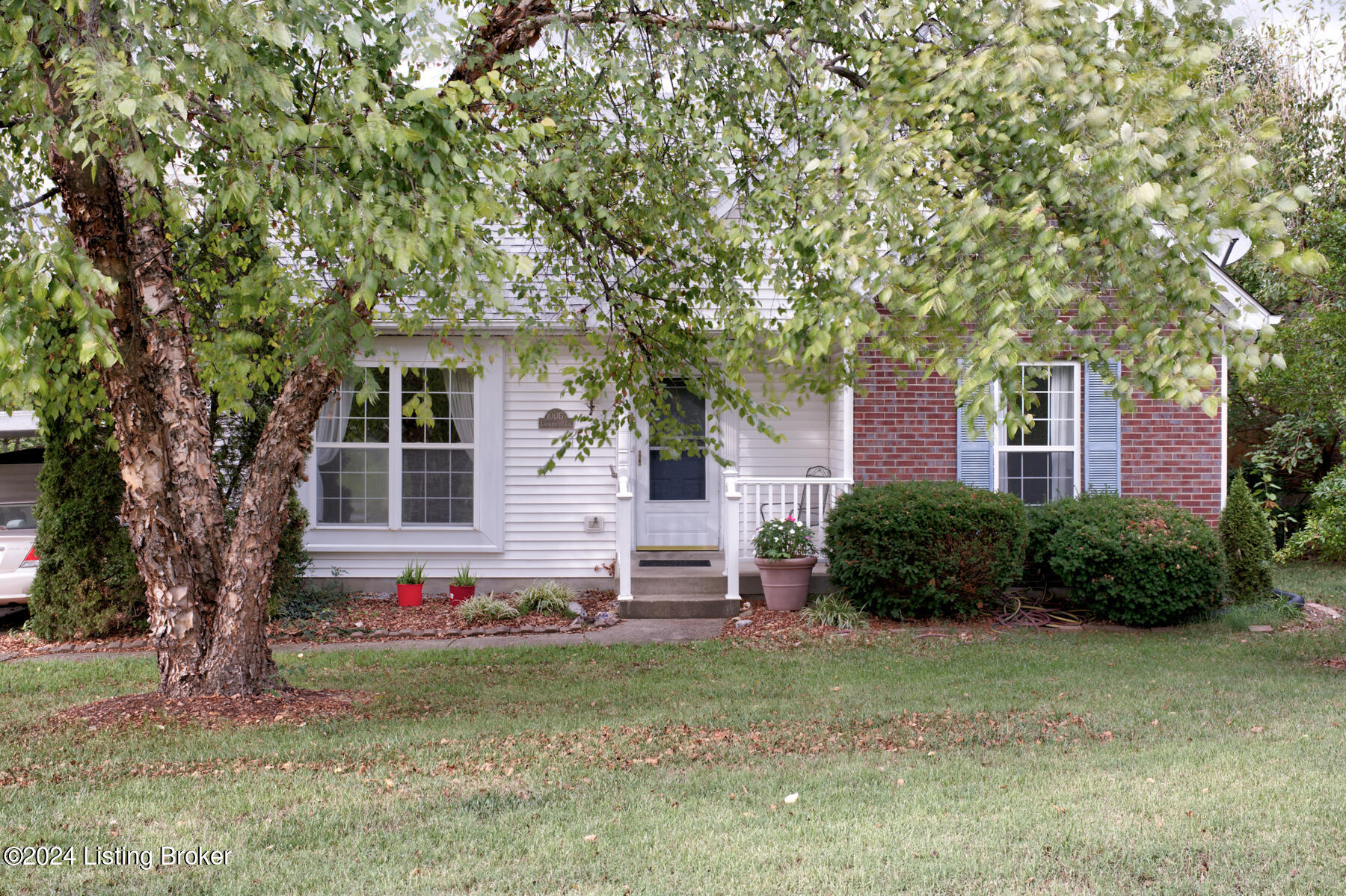 10017 Lauralynn Ct