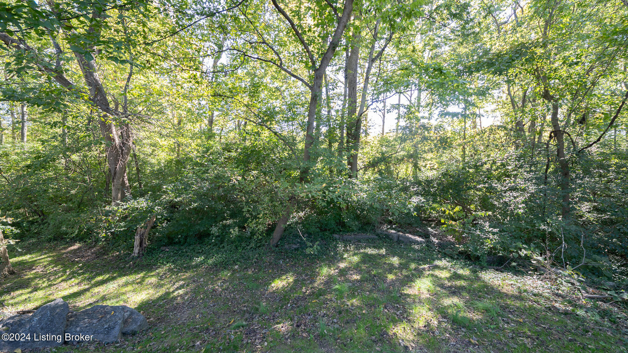 354 Crescent Spring Dr